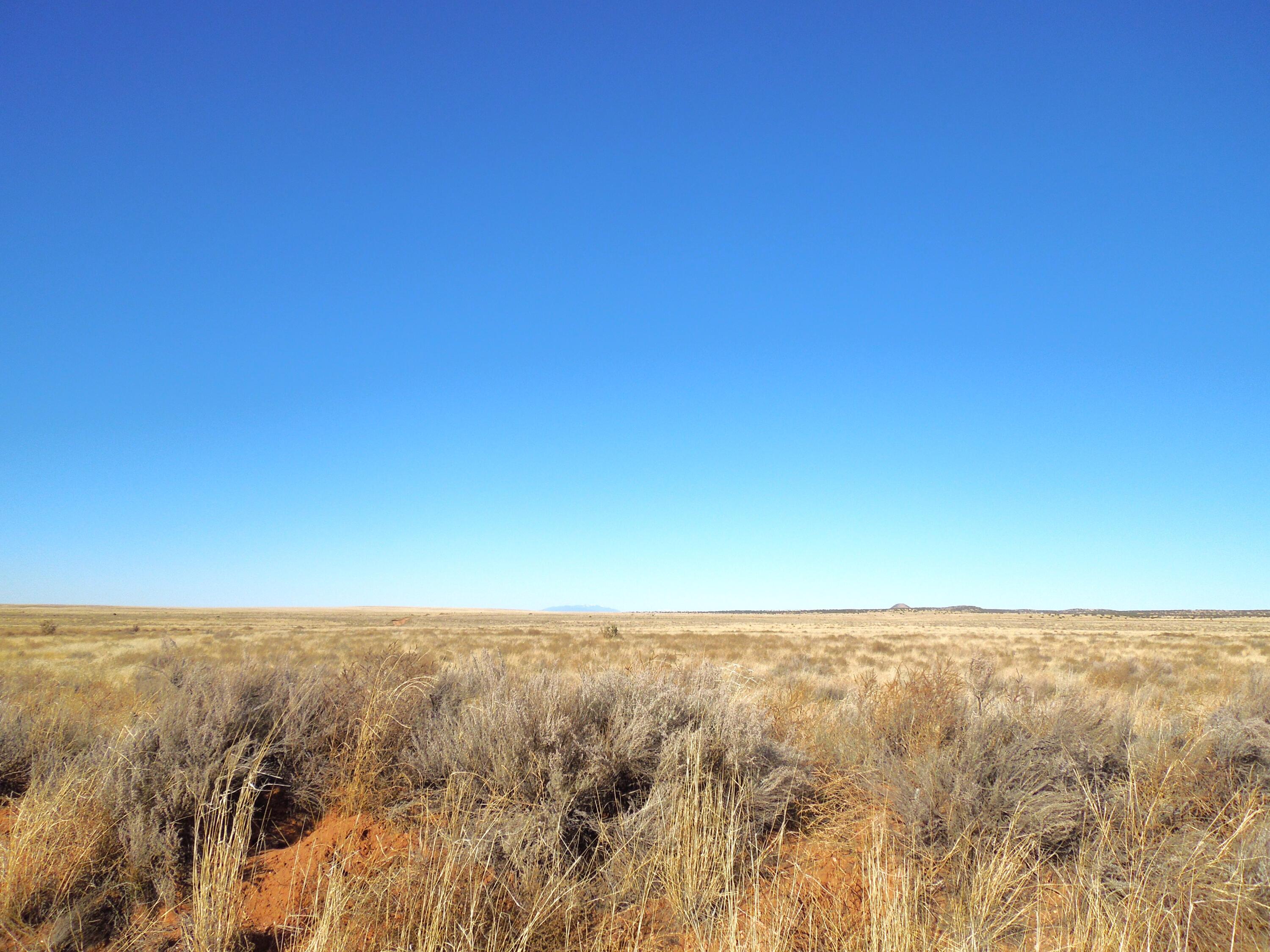 Photo 12 —  Lot 20-22 Block 8 Tract 12