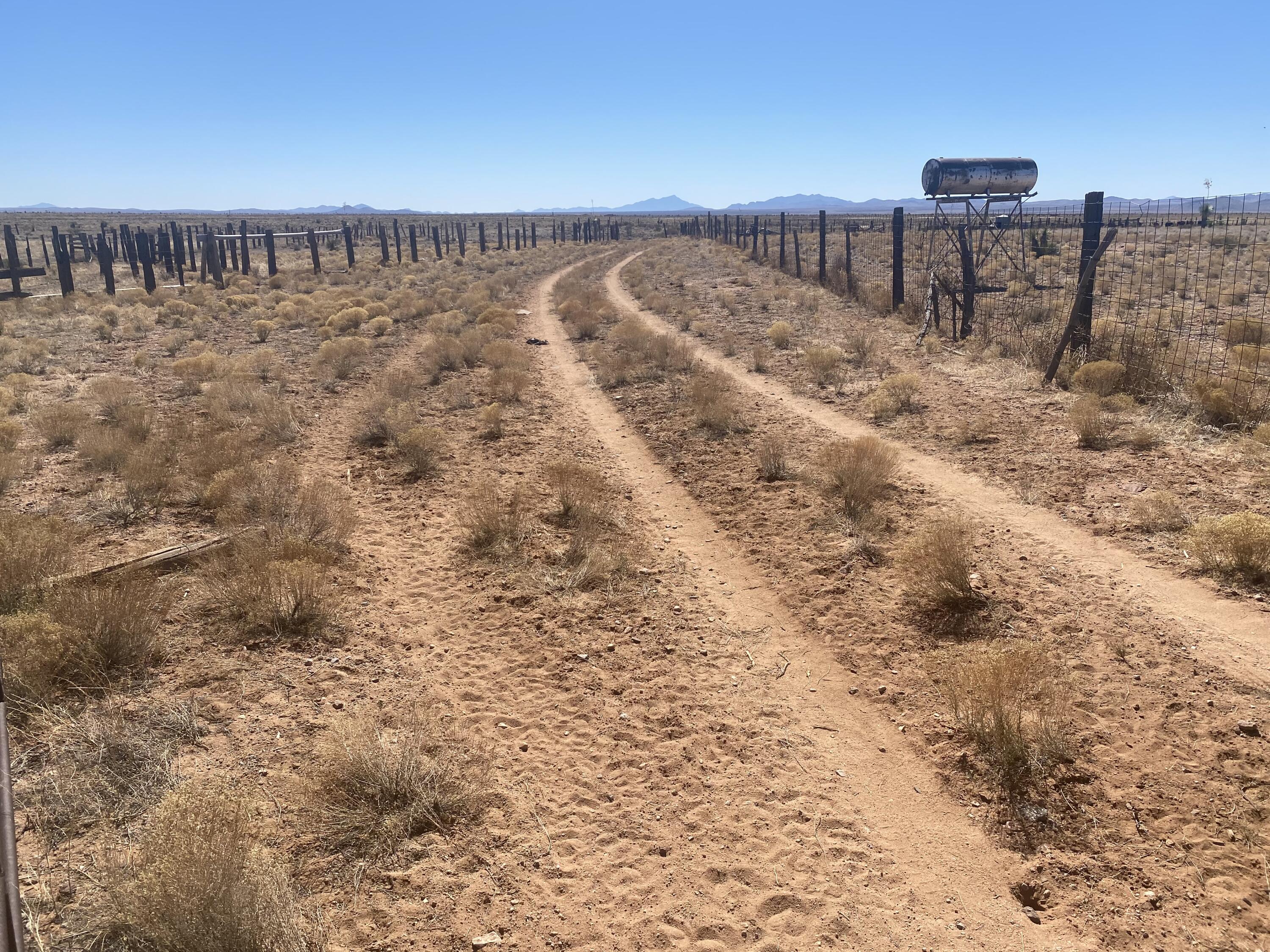 Photo 12 — 261 & 268 Warren Ranch Road