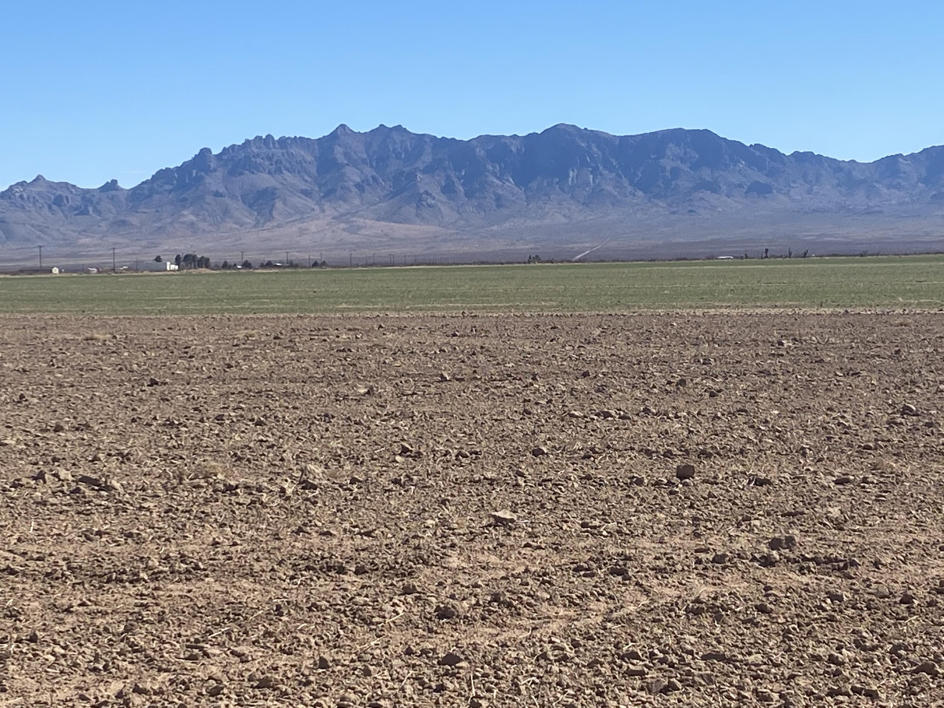 Photo 7 — 261 & 268 Warren Ranch Road