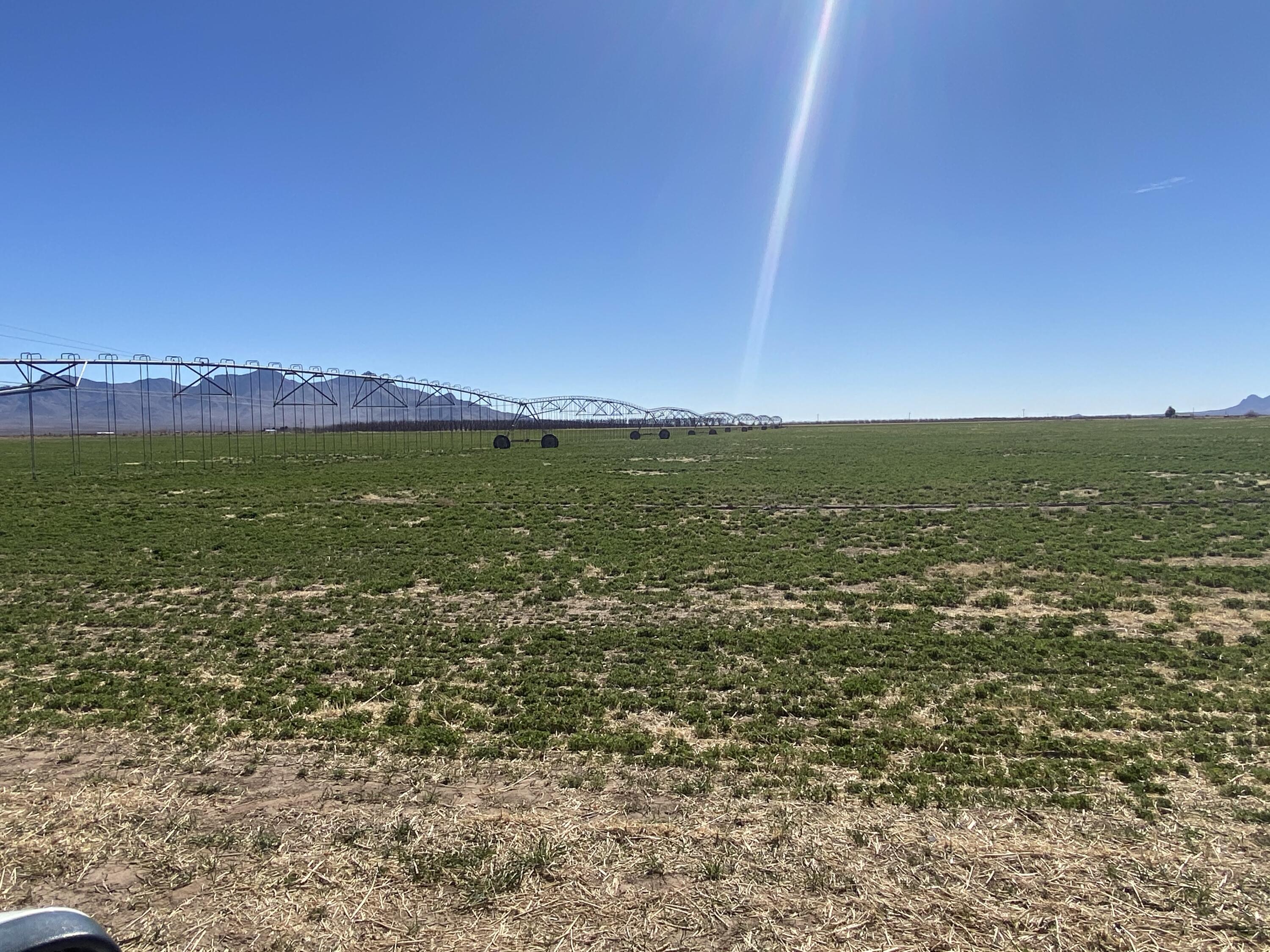 Photo 8 — 261 & 268 Warren Ranch Road