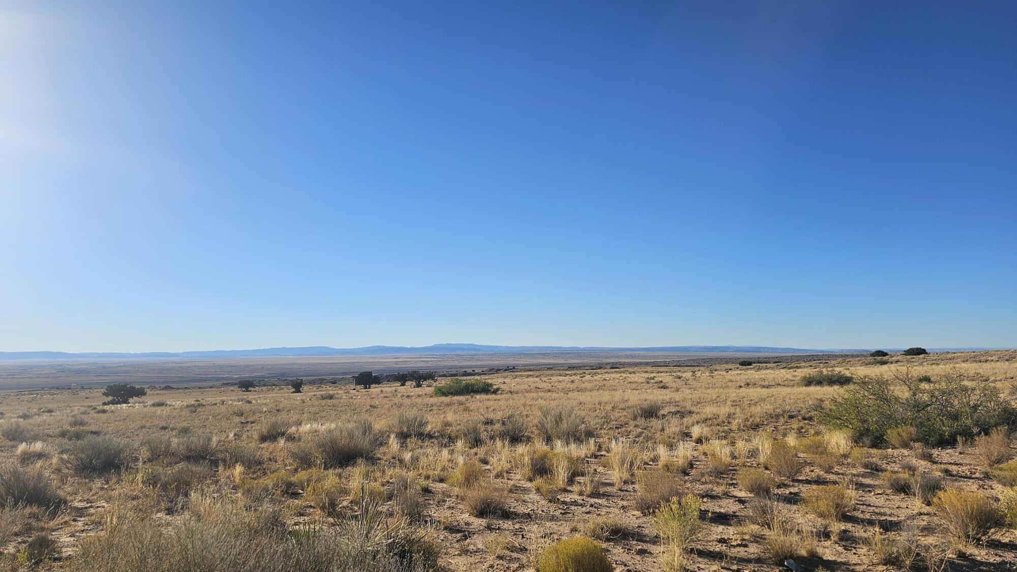 Photo 14 — VL West Belen Land Grant Lot 15