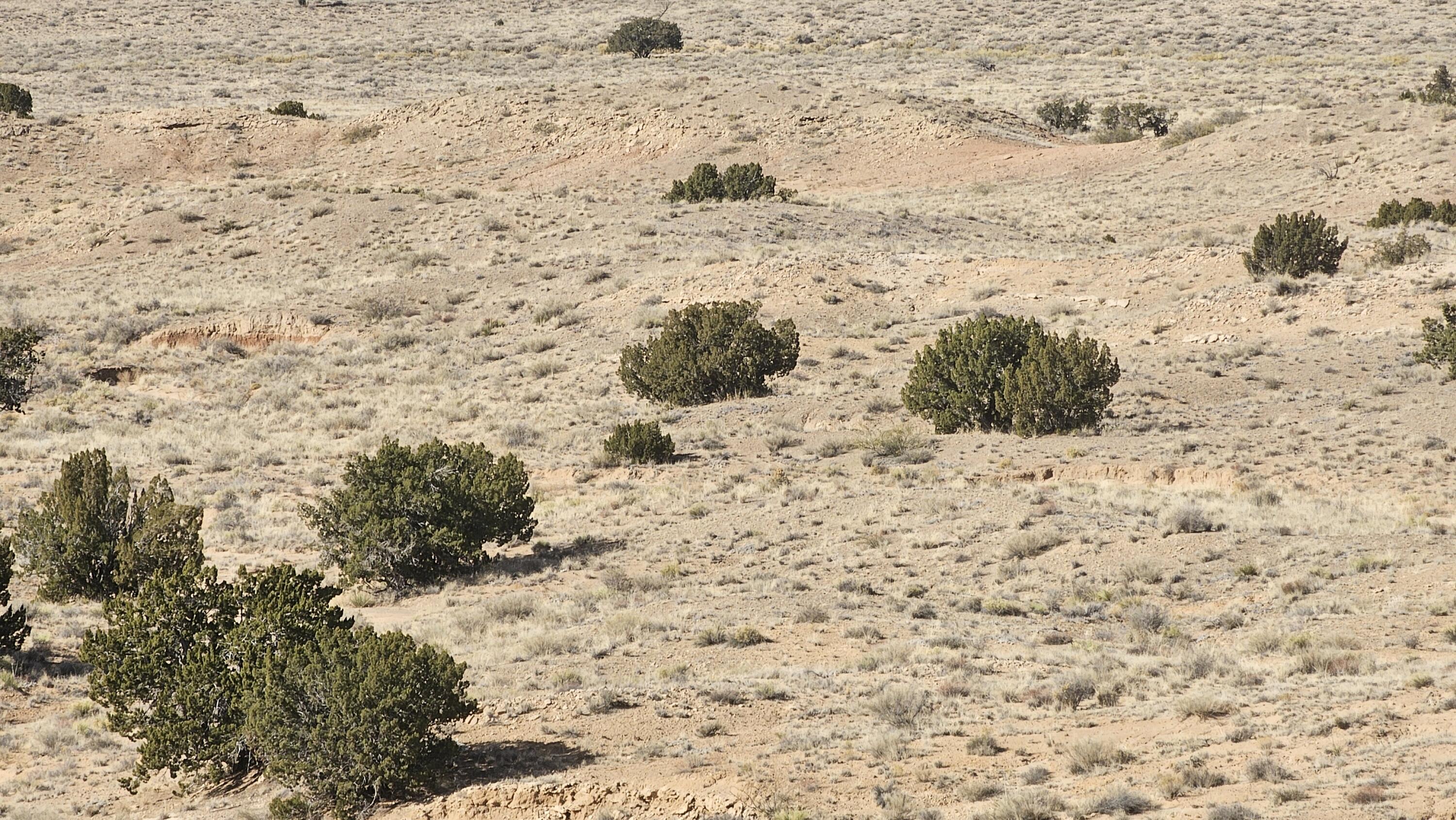 Photo 9 — VL West Belen Land Grant Lot 15