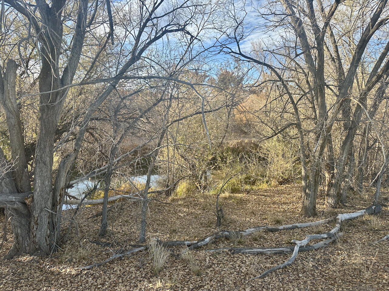 Photo 3 — 3227 Duranes Road NW