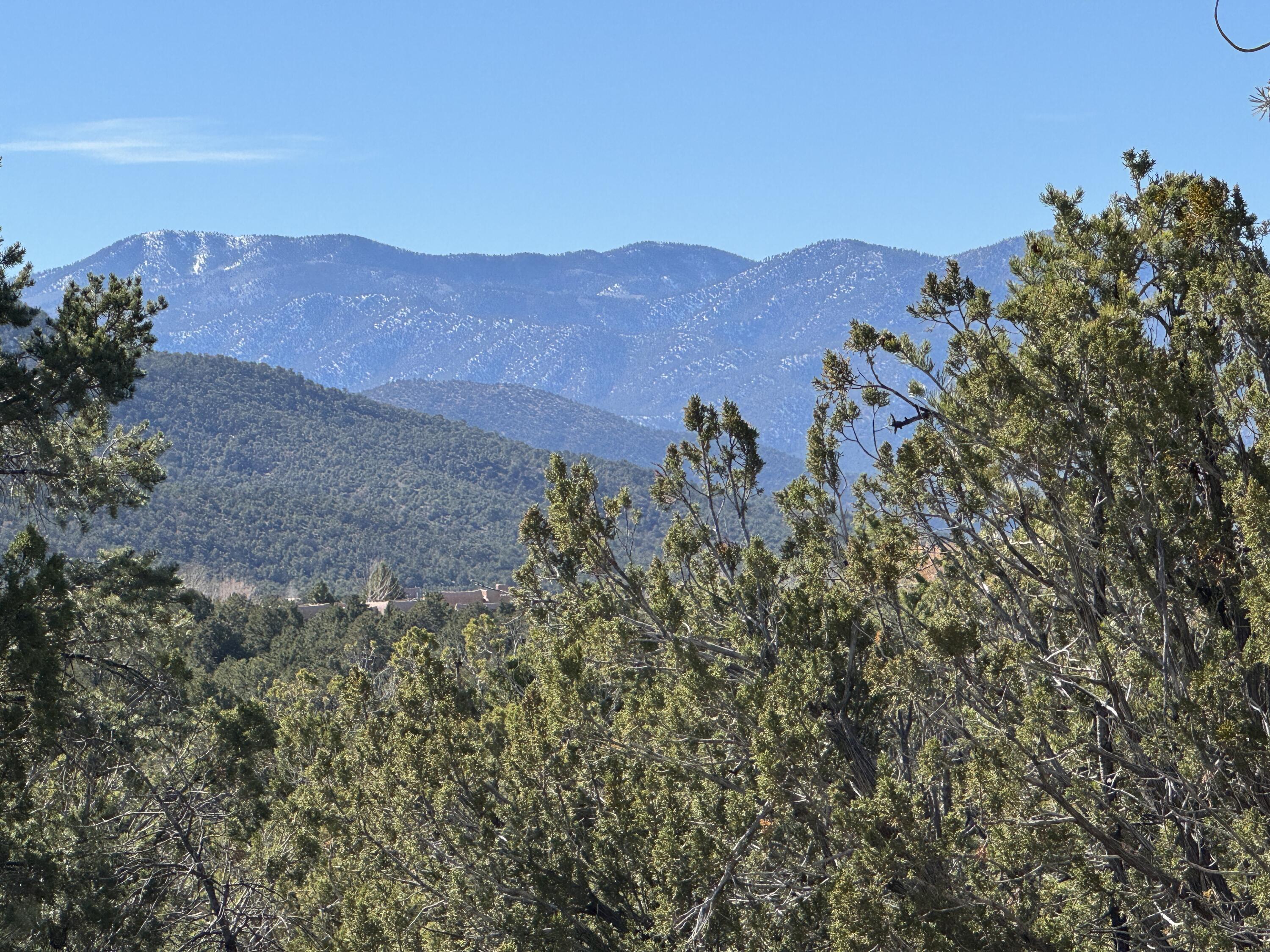 Photo 8 — Tract 4 Verde Road