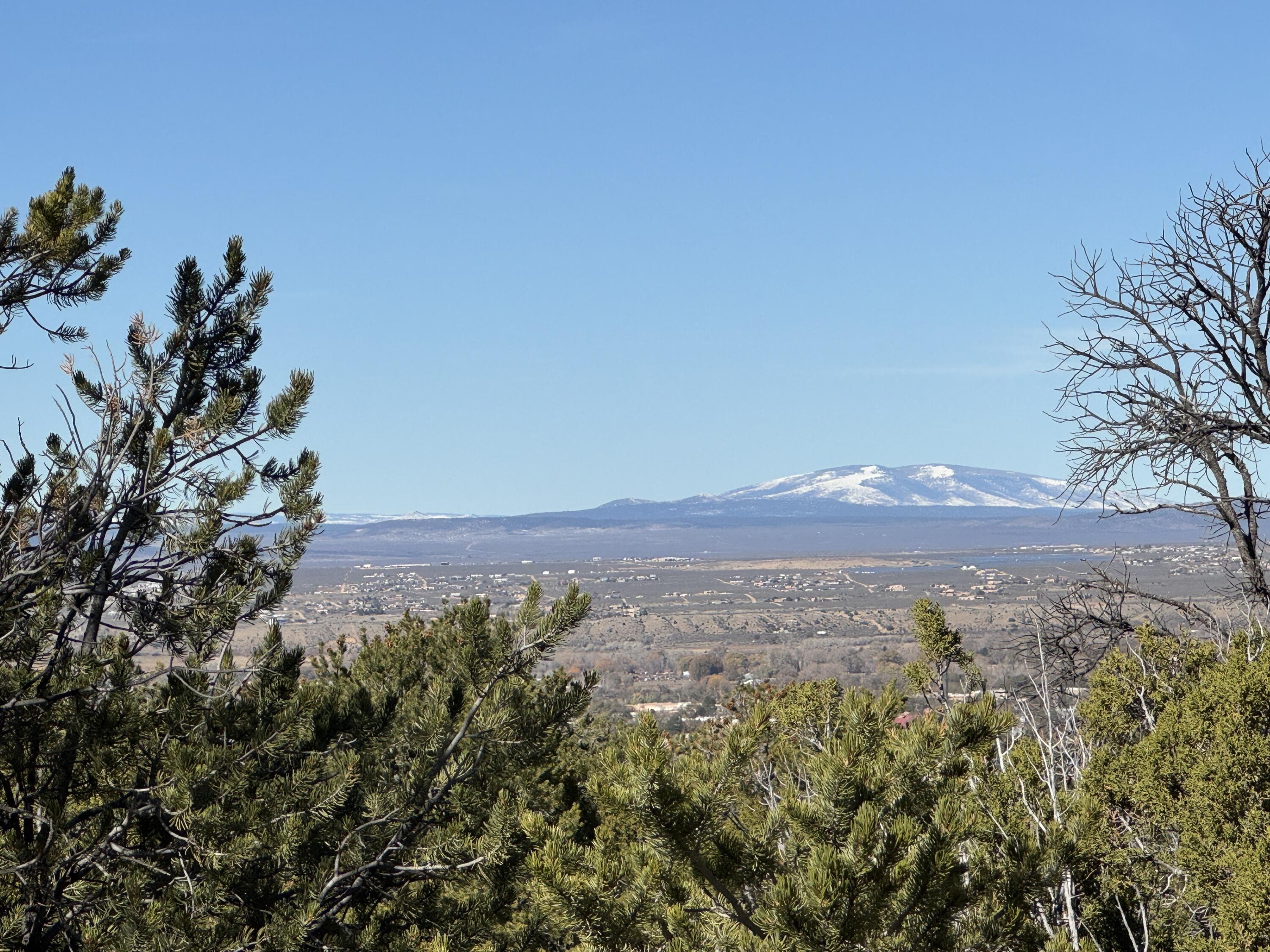Photo 4 — Tract 4 Verde Road