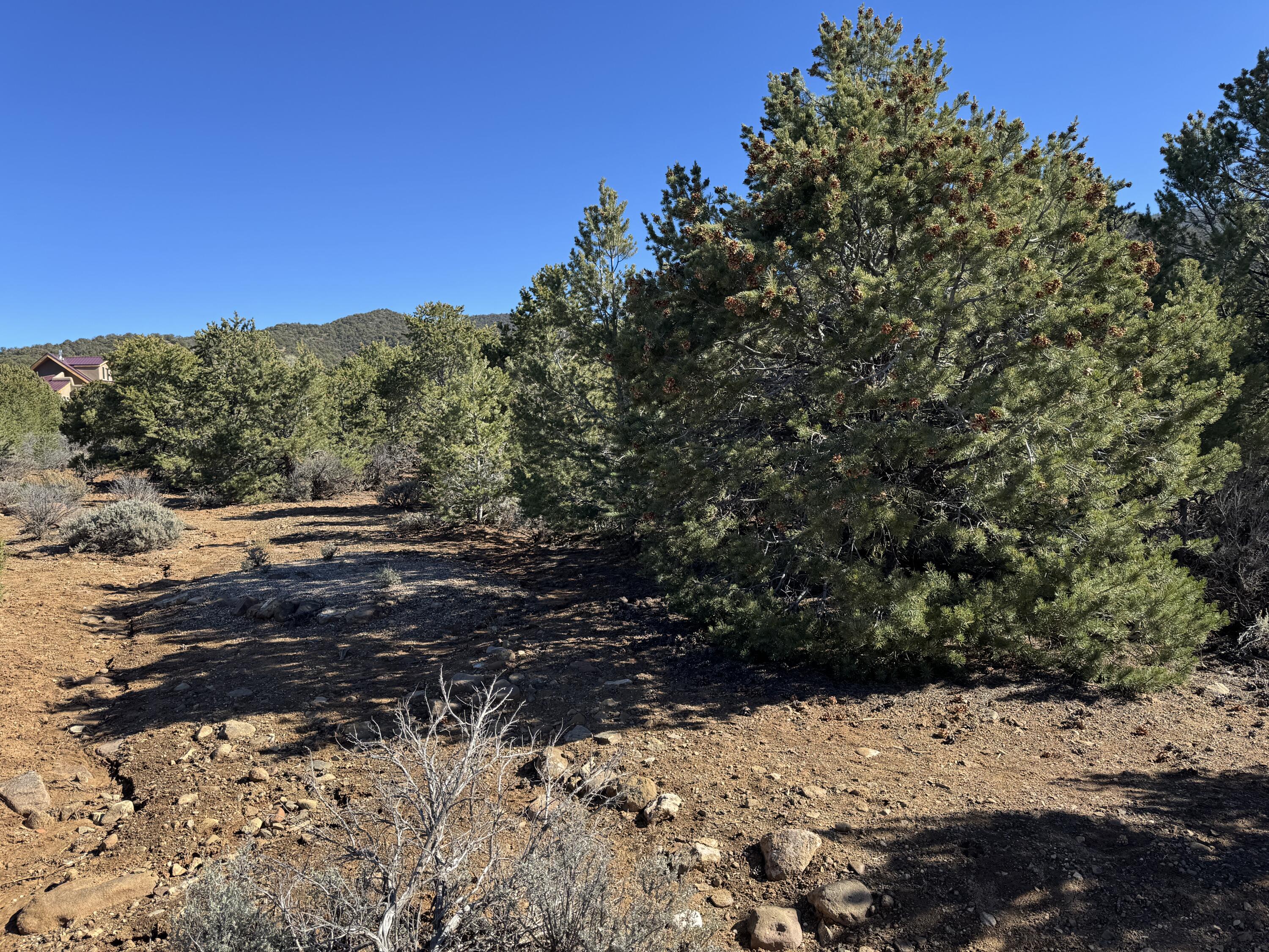 Photo 2 — Tract 4 Verde Road