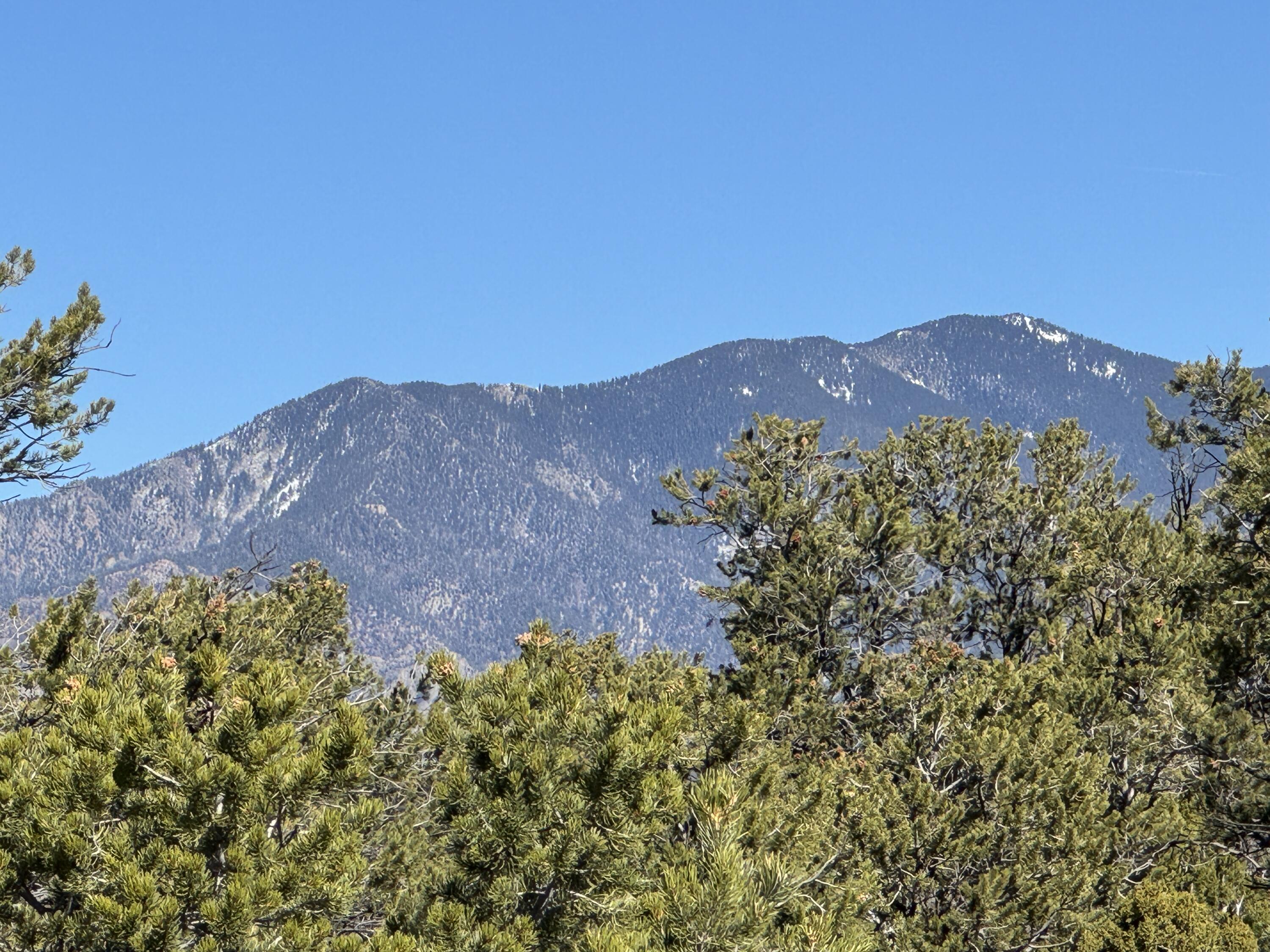 Photo 3 — Tract 4 Verde Road