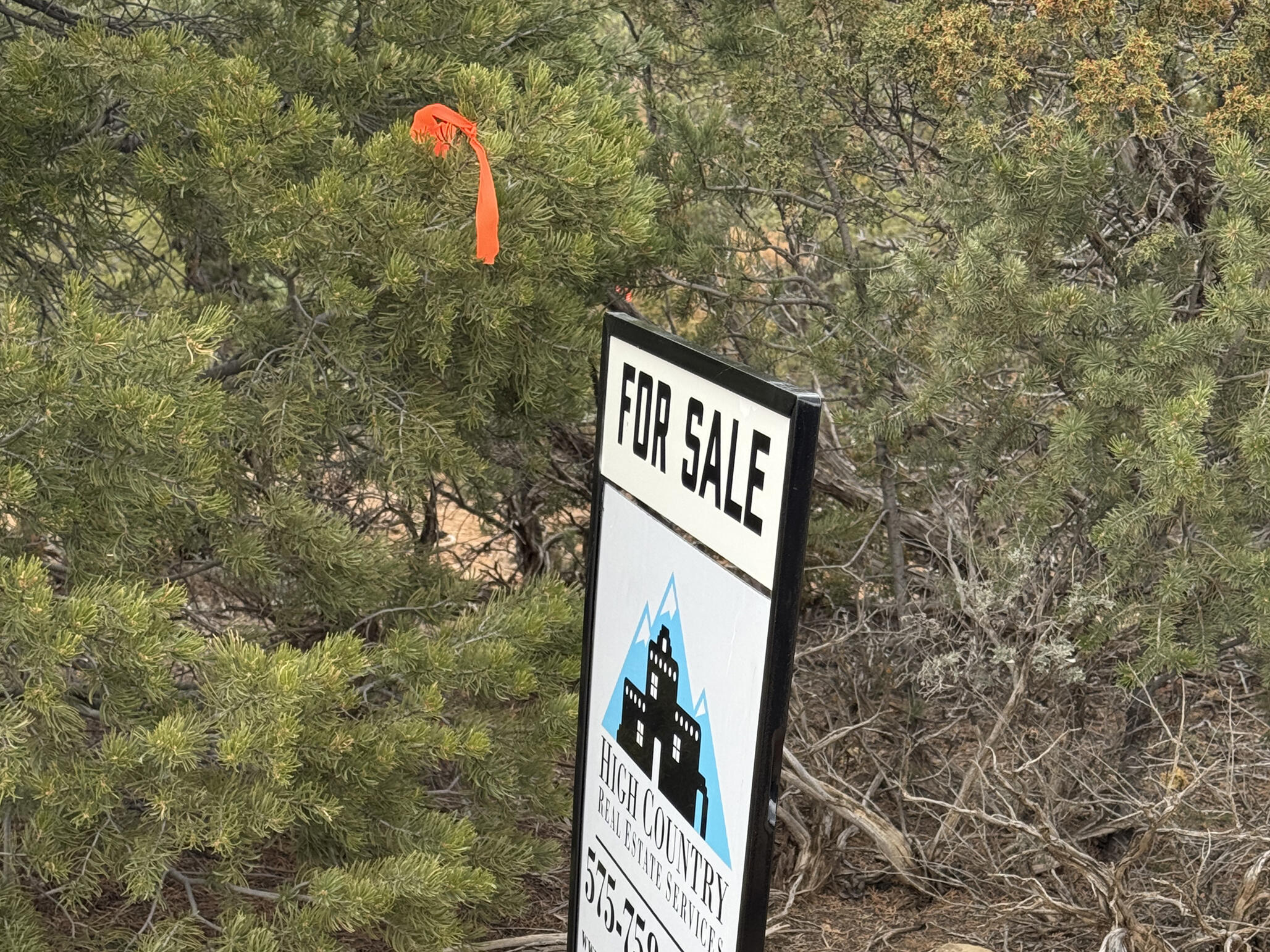 Photo 15 — Tract 4 Verde Road