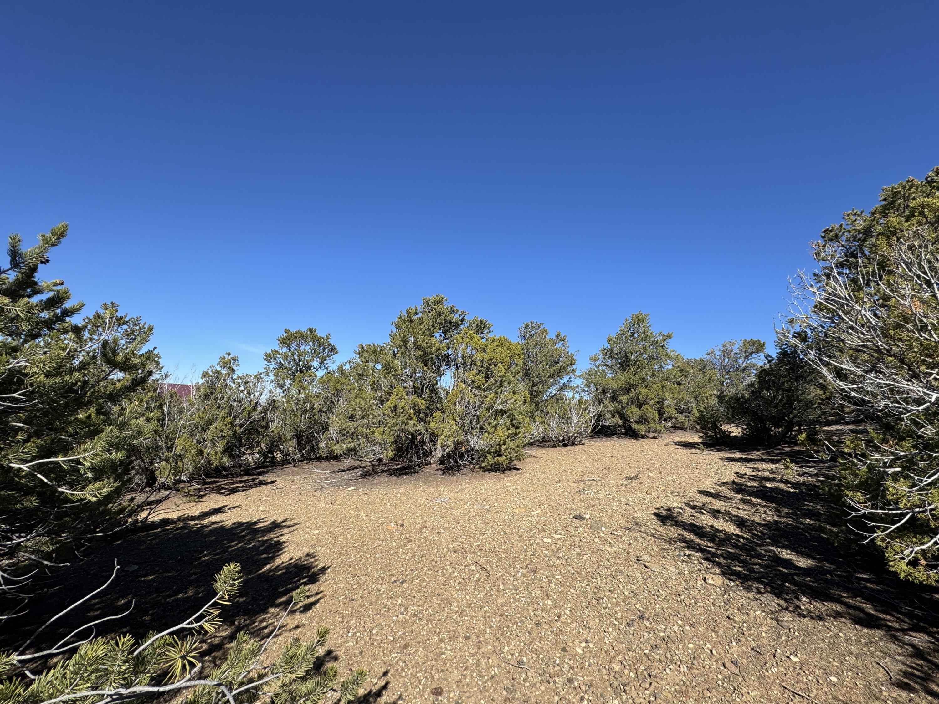 Photo 14 — Tract 4 Verde Road