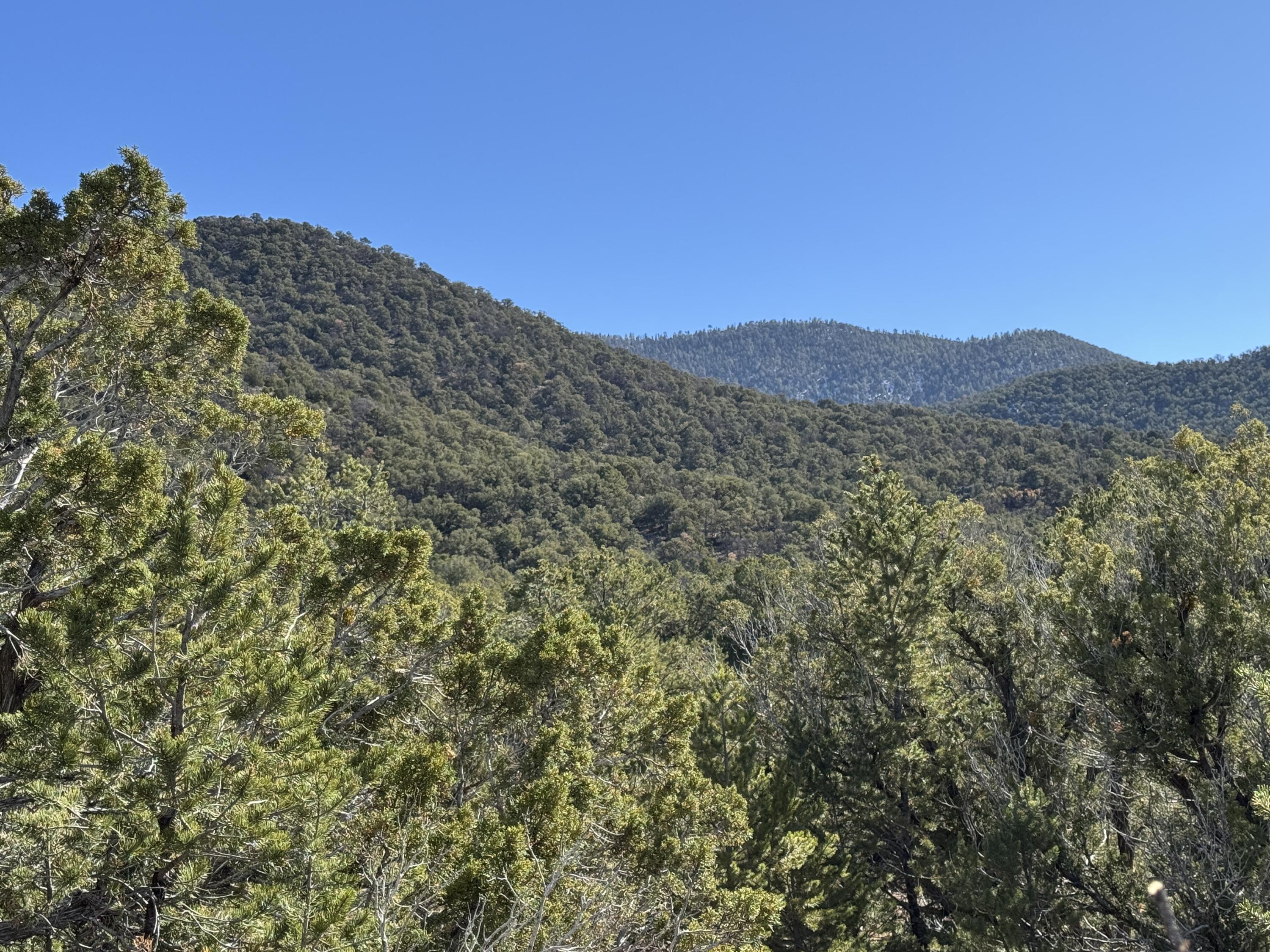Photo 13 — Tract 4 Verde Road