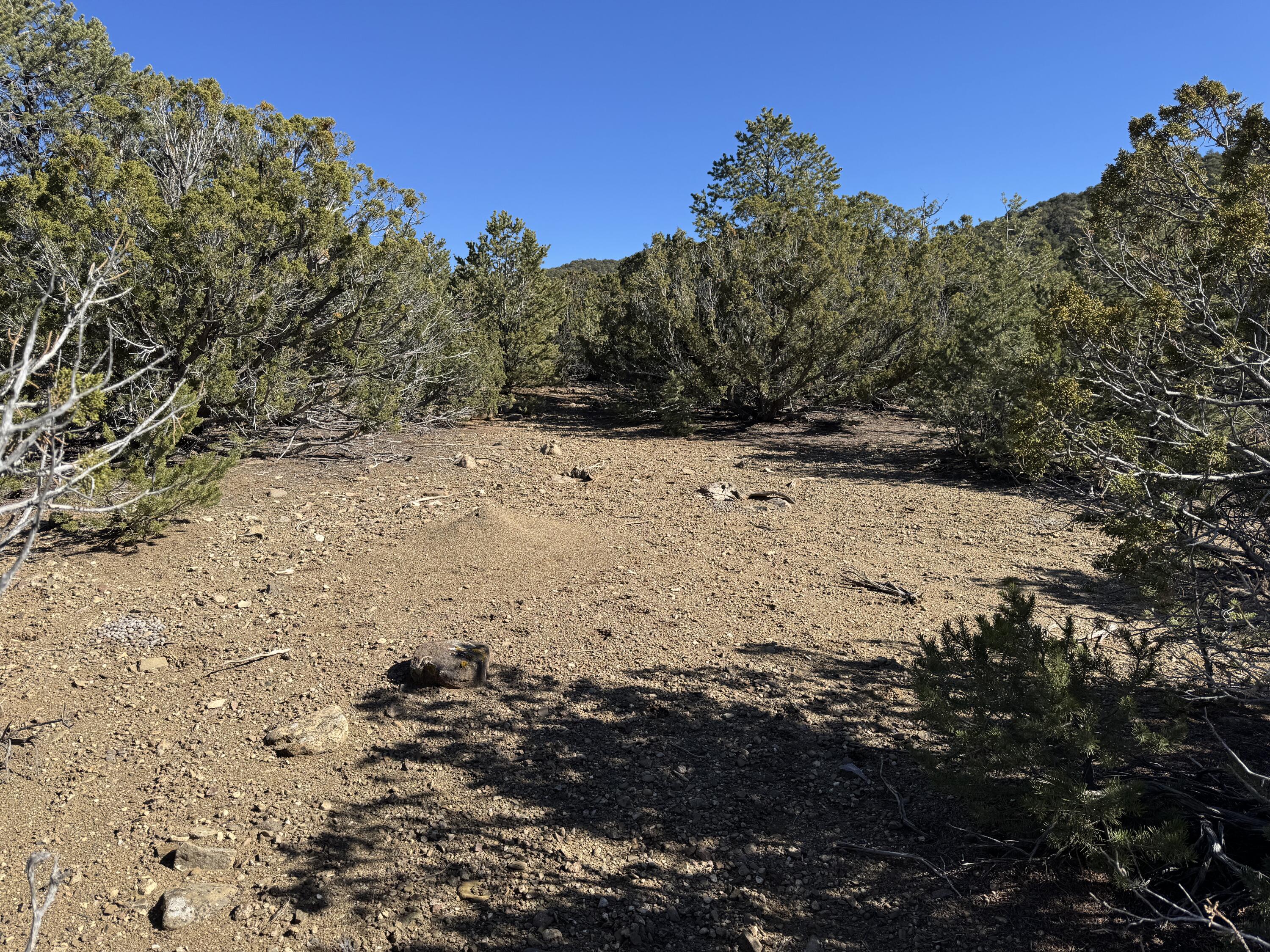 Photo 12 — Tract 4 Verde Road