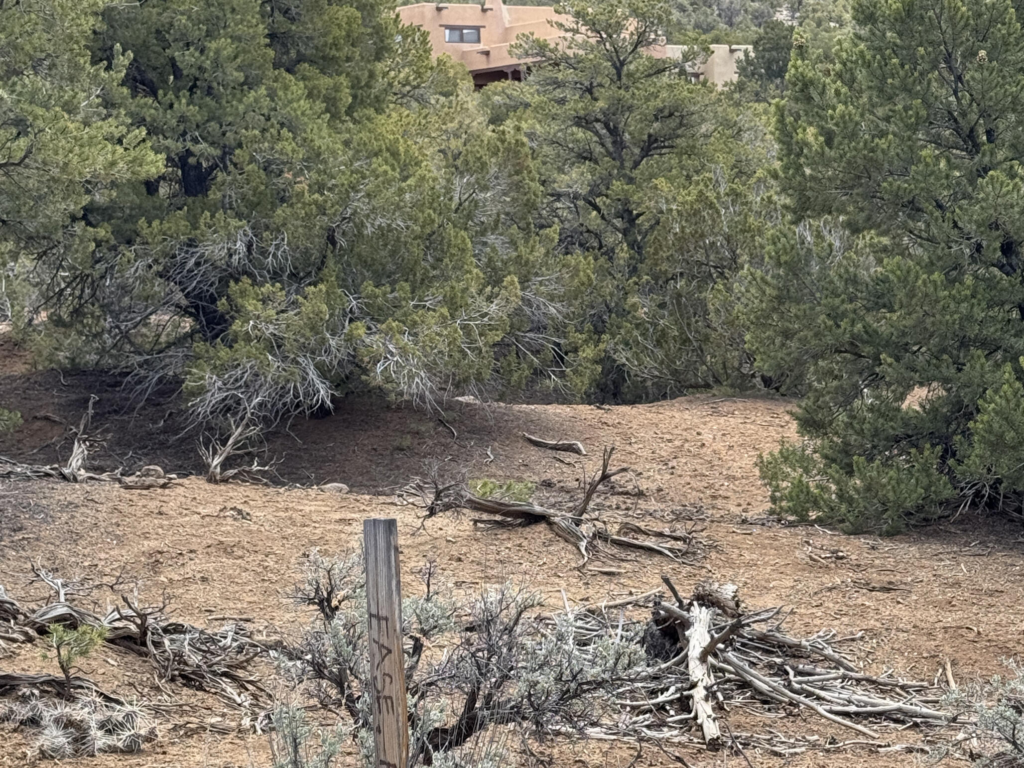Photo 11 — Tract 4 Verde Road