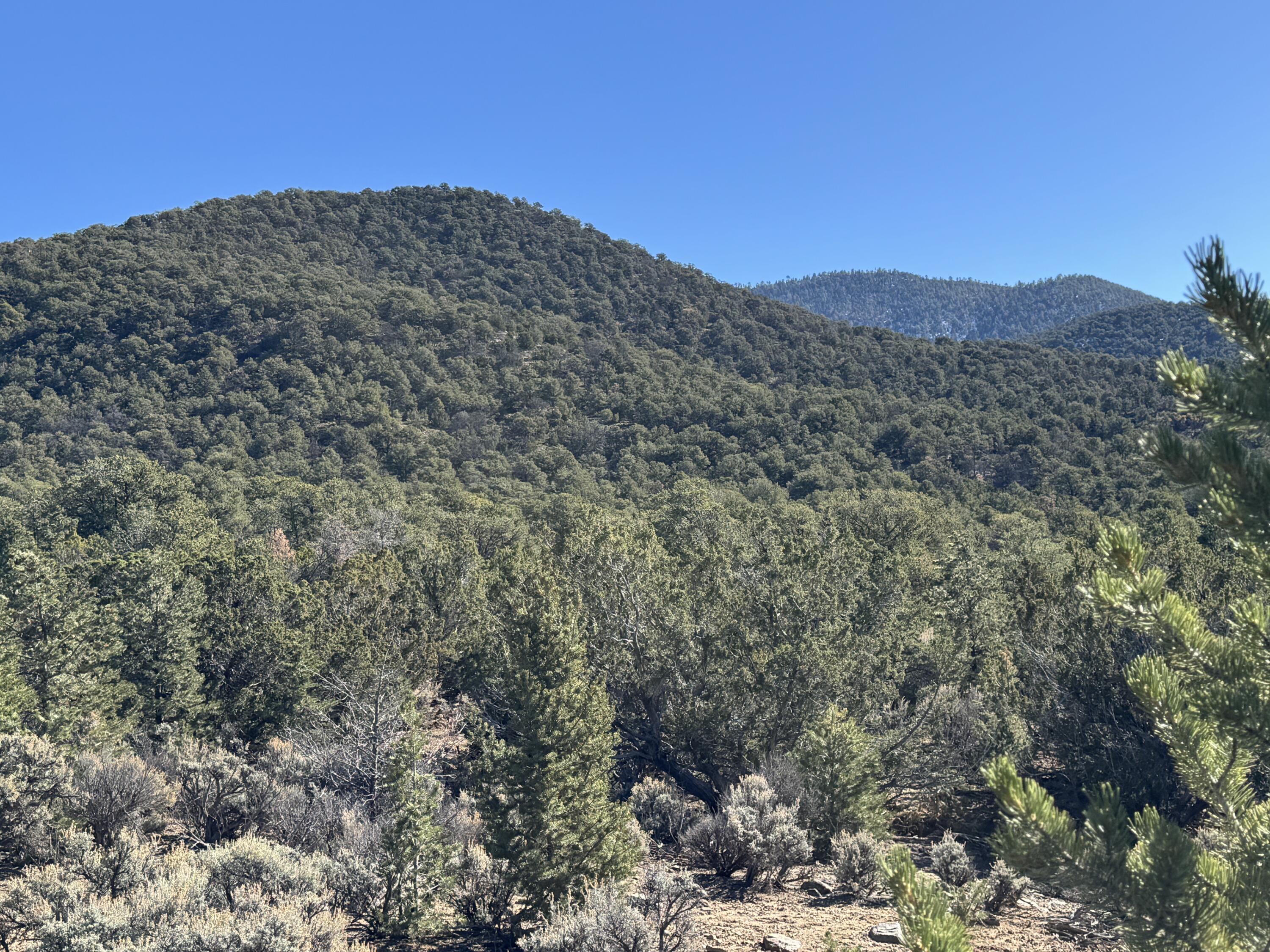 Photo 10 — Tract 4 Verde Road