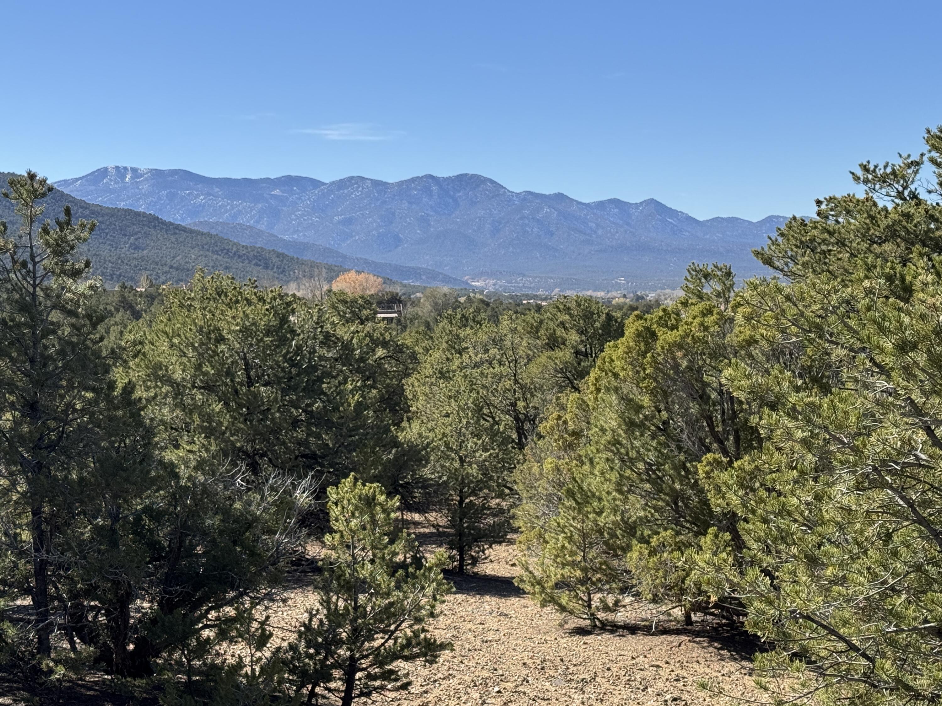 Photo 9 — Tract 4 Verde Road
