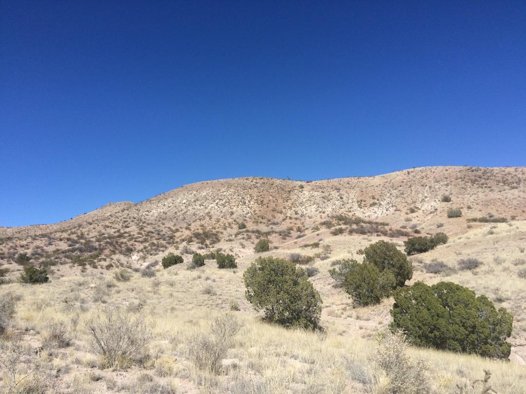 Photo 2 — Lot 4-4 Highland Springs Ranch