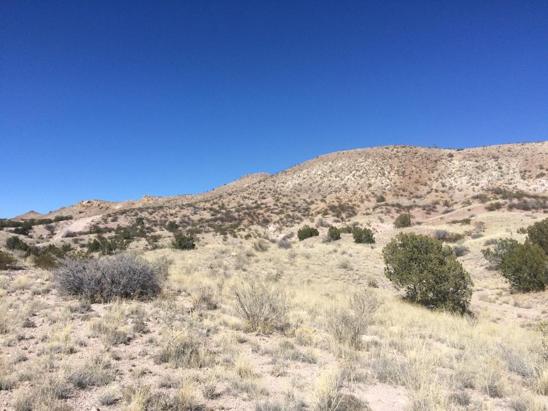 Photo 3 — Lot 4-4 Highland Springs Ranch