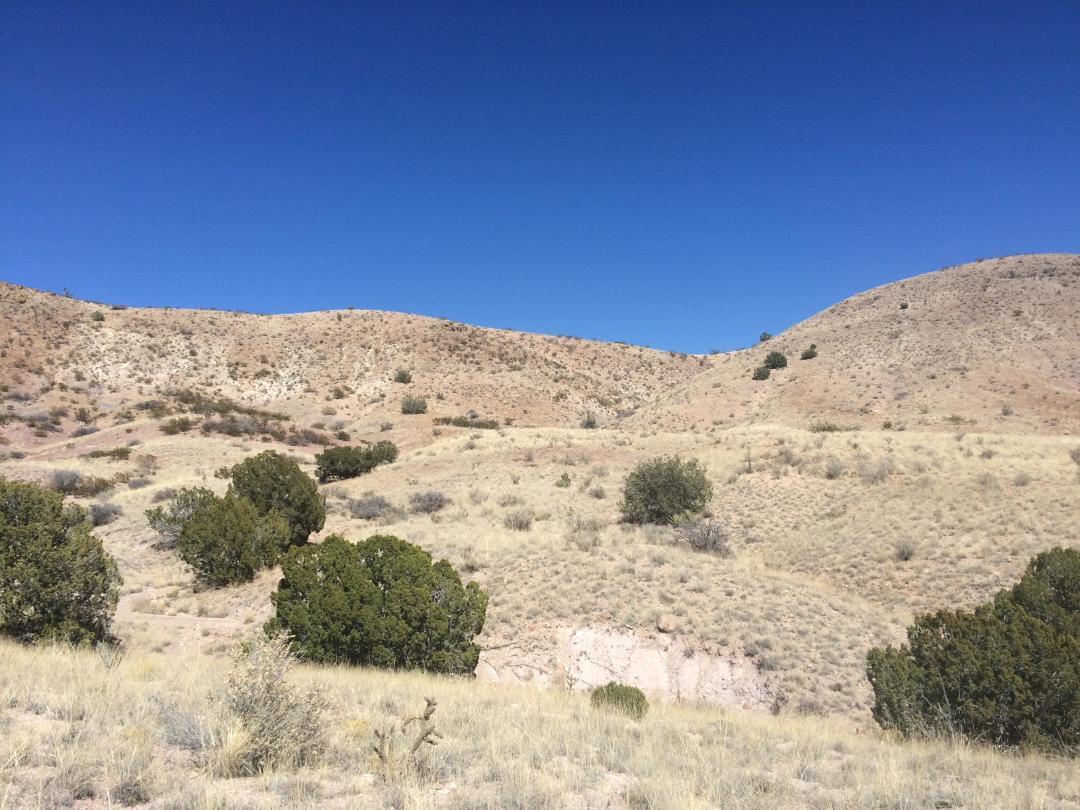 Photo 4 — Lot 4-4 Highland Springs Ranch