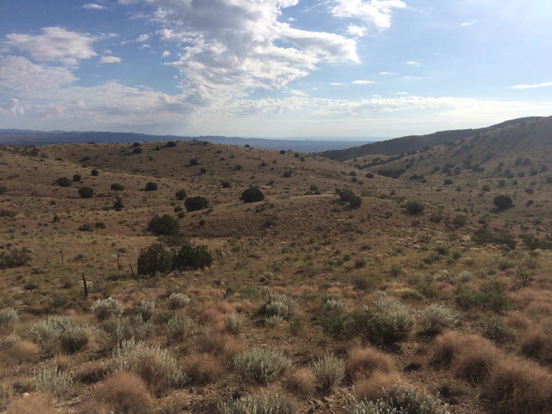 Photo 13 — Lot 4-4 Highland Springs Ranch