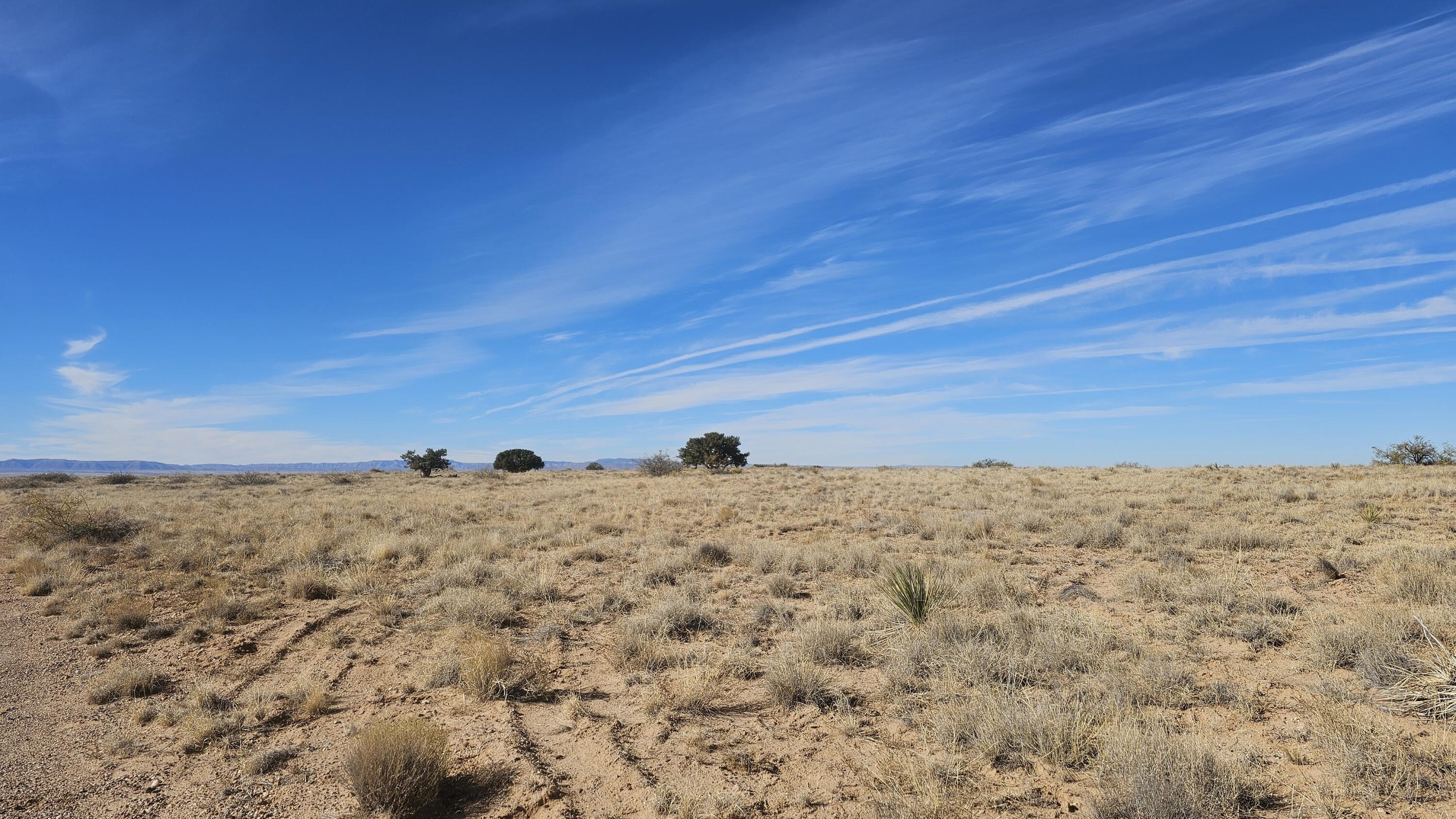 Photo 6 — VL Lot 4 Block 79 13