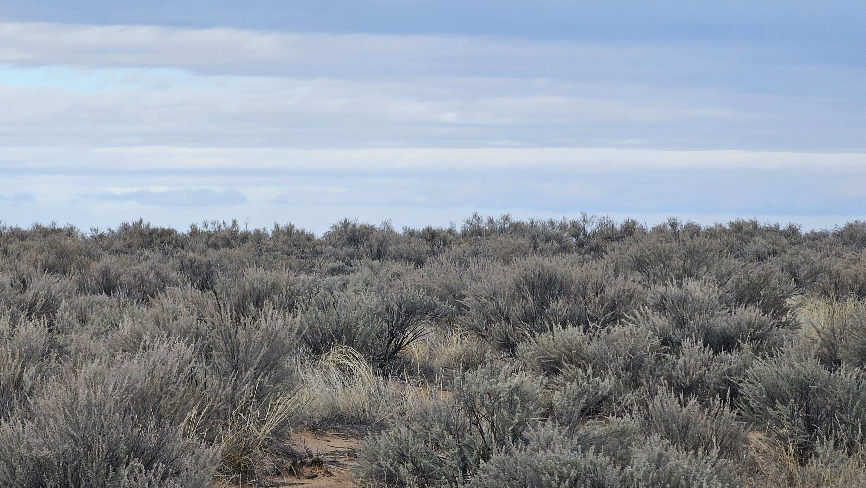 Photo 10 — VL Lot 4 Block 79 13