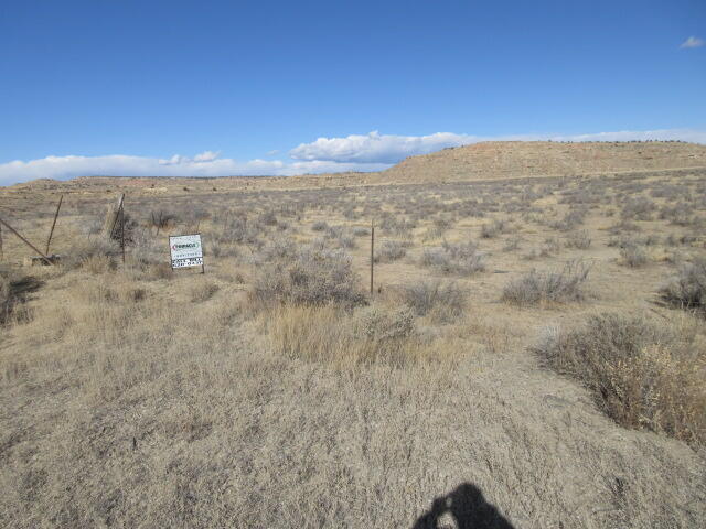 Photo 5 —  Tract 10 Sec .24 Unit 2