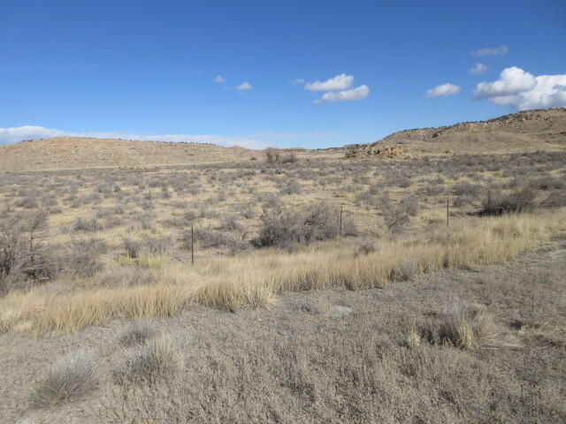 Photo 3 —  Tract 10 Sec .24 Unit 2