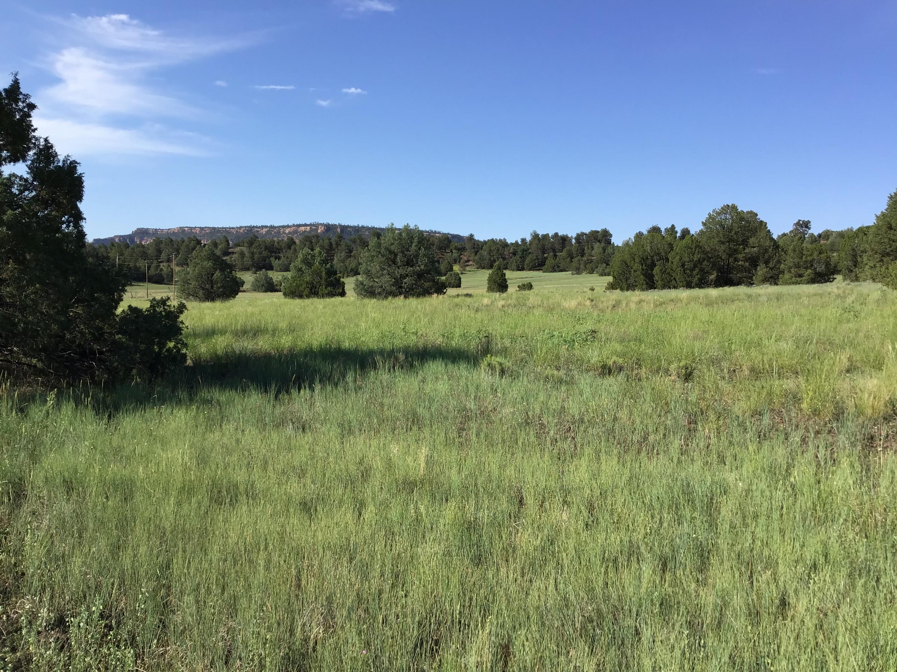 Photo 3 — Lot 44 Sunflower Drive
