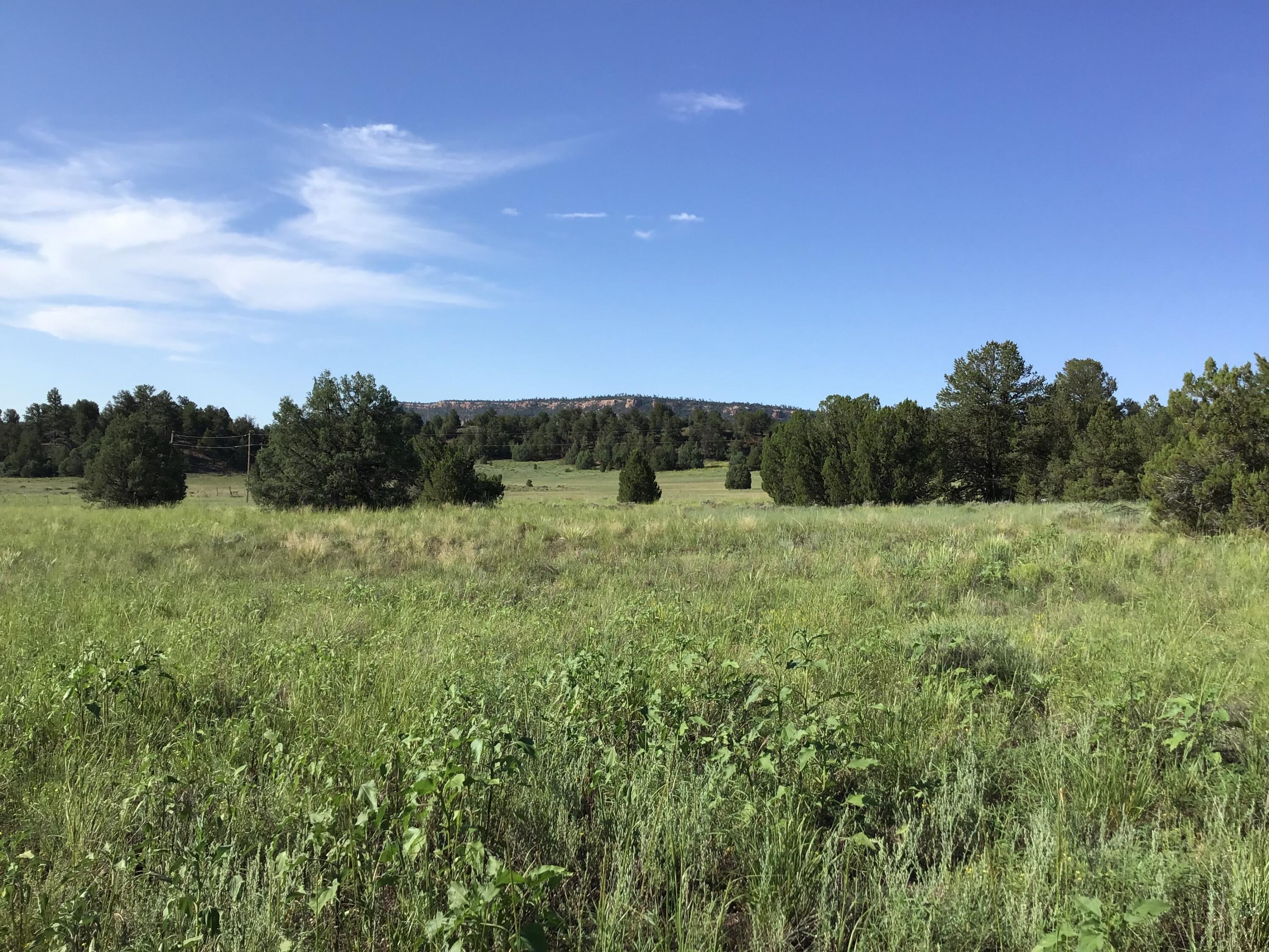 Photo 2 — Lot 44 Sunflower Drive