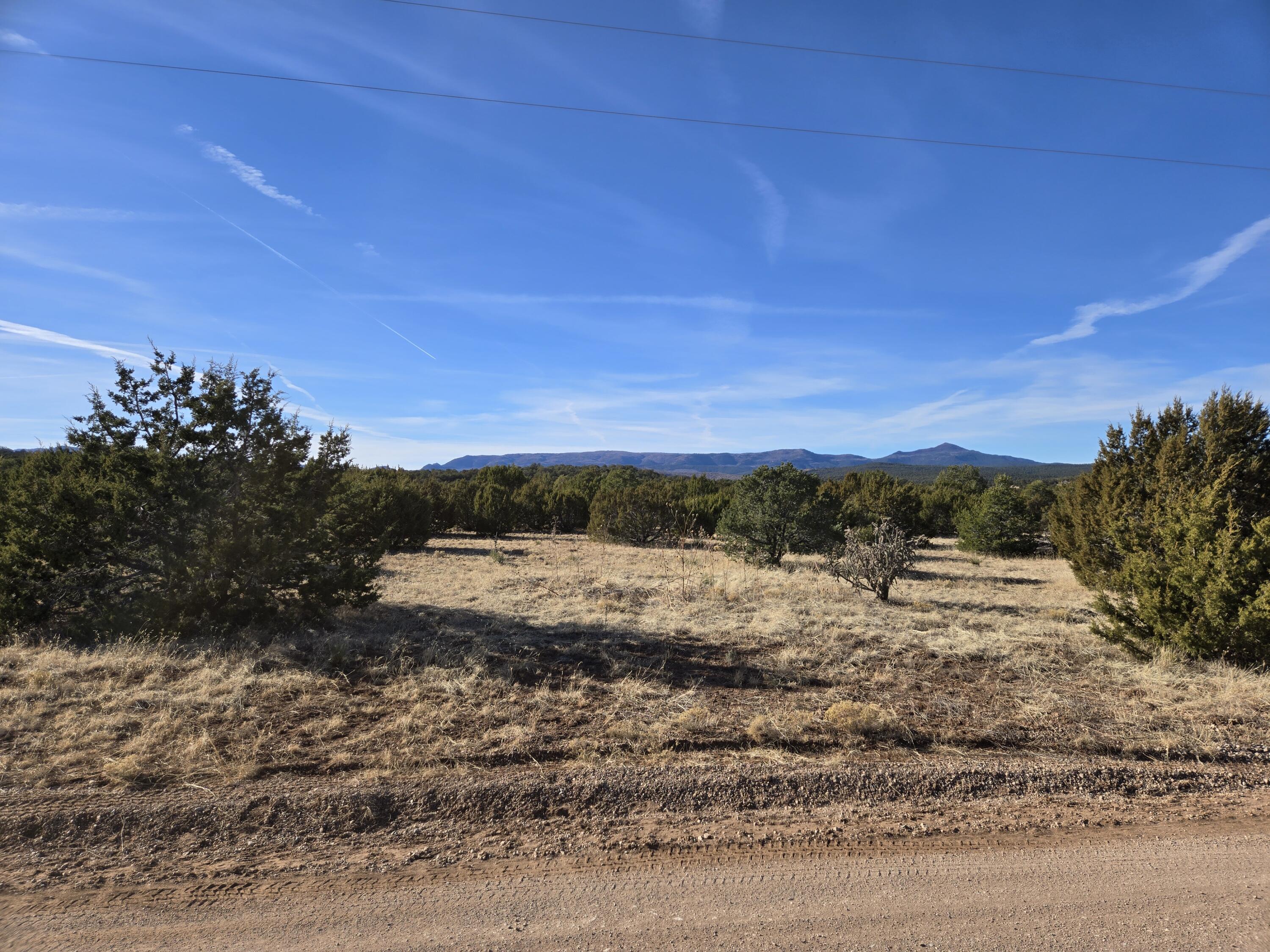 Photo 10 — 0 Rosewood Drive 8