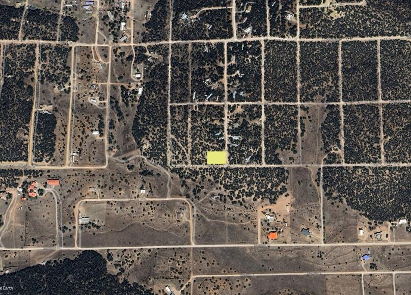 Photo 5 —  Forrest (Tract D B:23 L:A) Lane