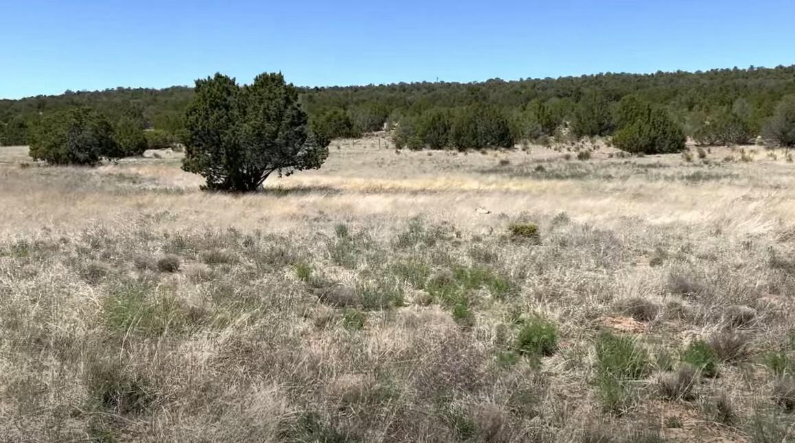 Photo 4 — 230 MORA Road