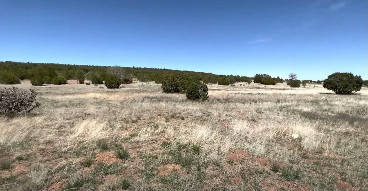 Photo 3 — 230 MORA Road