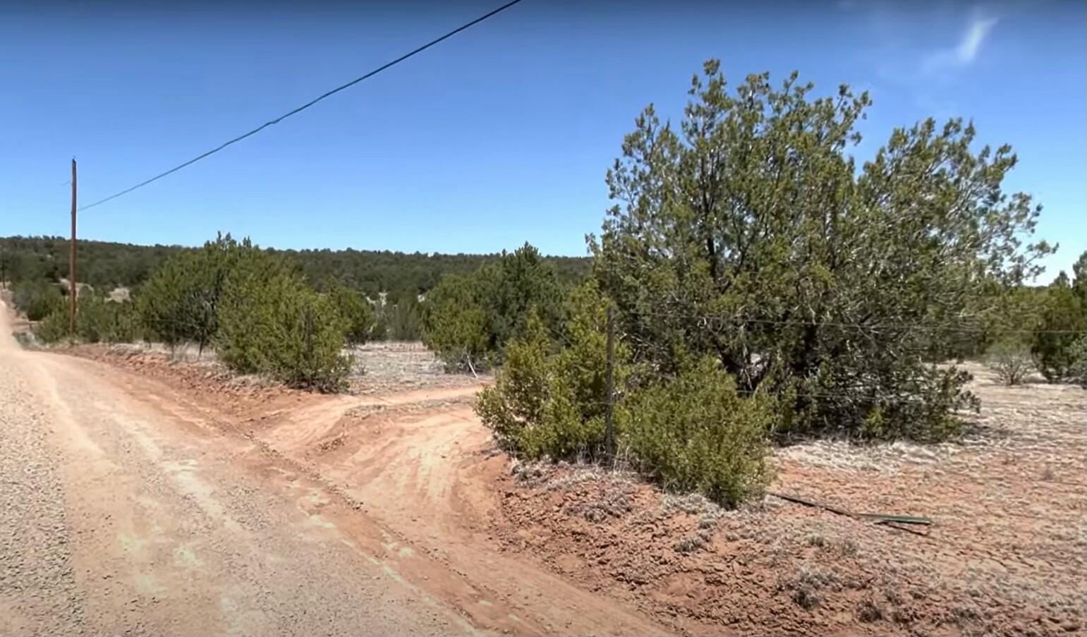 Photo 10 — 230 MORA Road