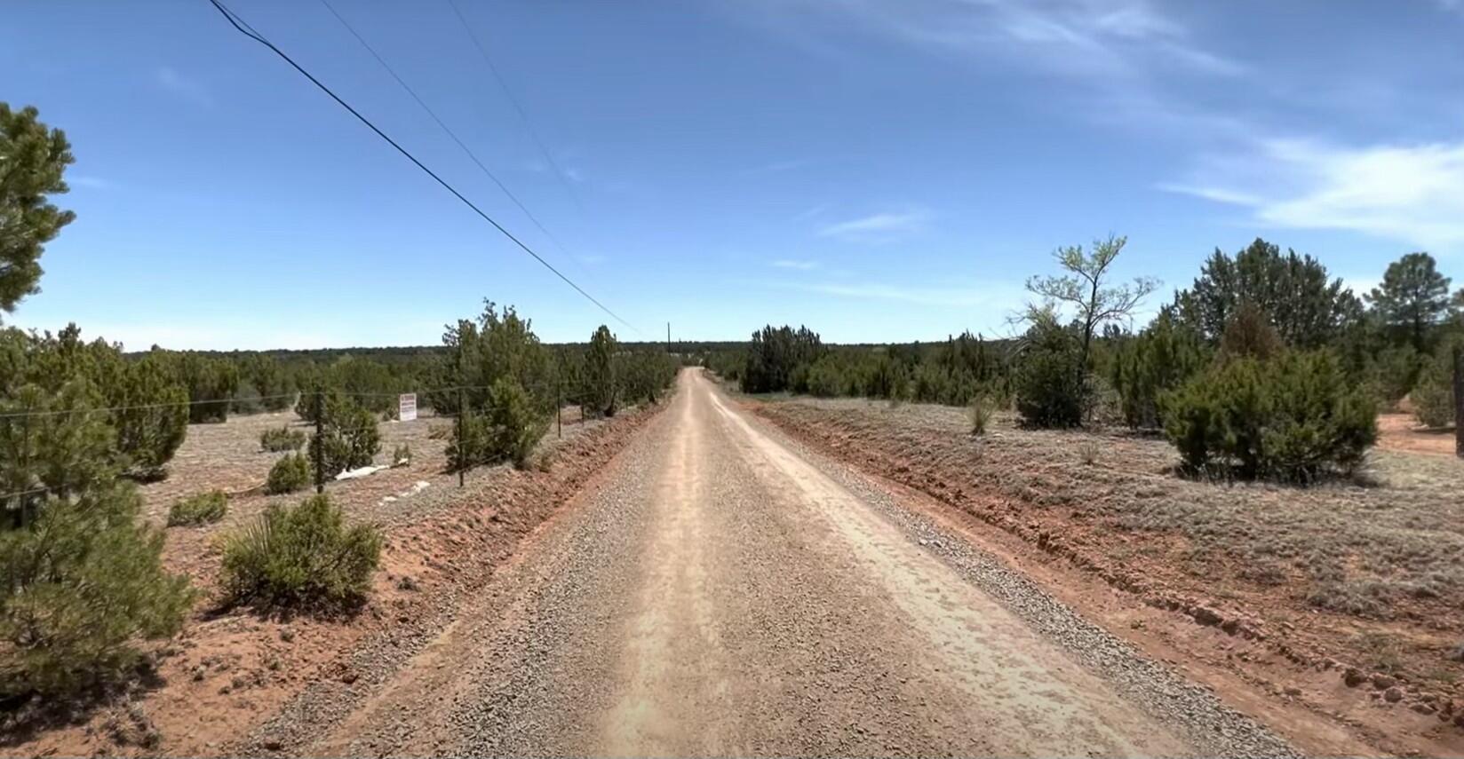 Photo 9 — 230 MORA Road