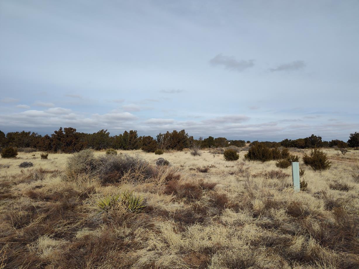 Photo 10 —  Seventh Street