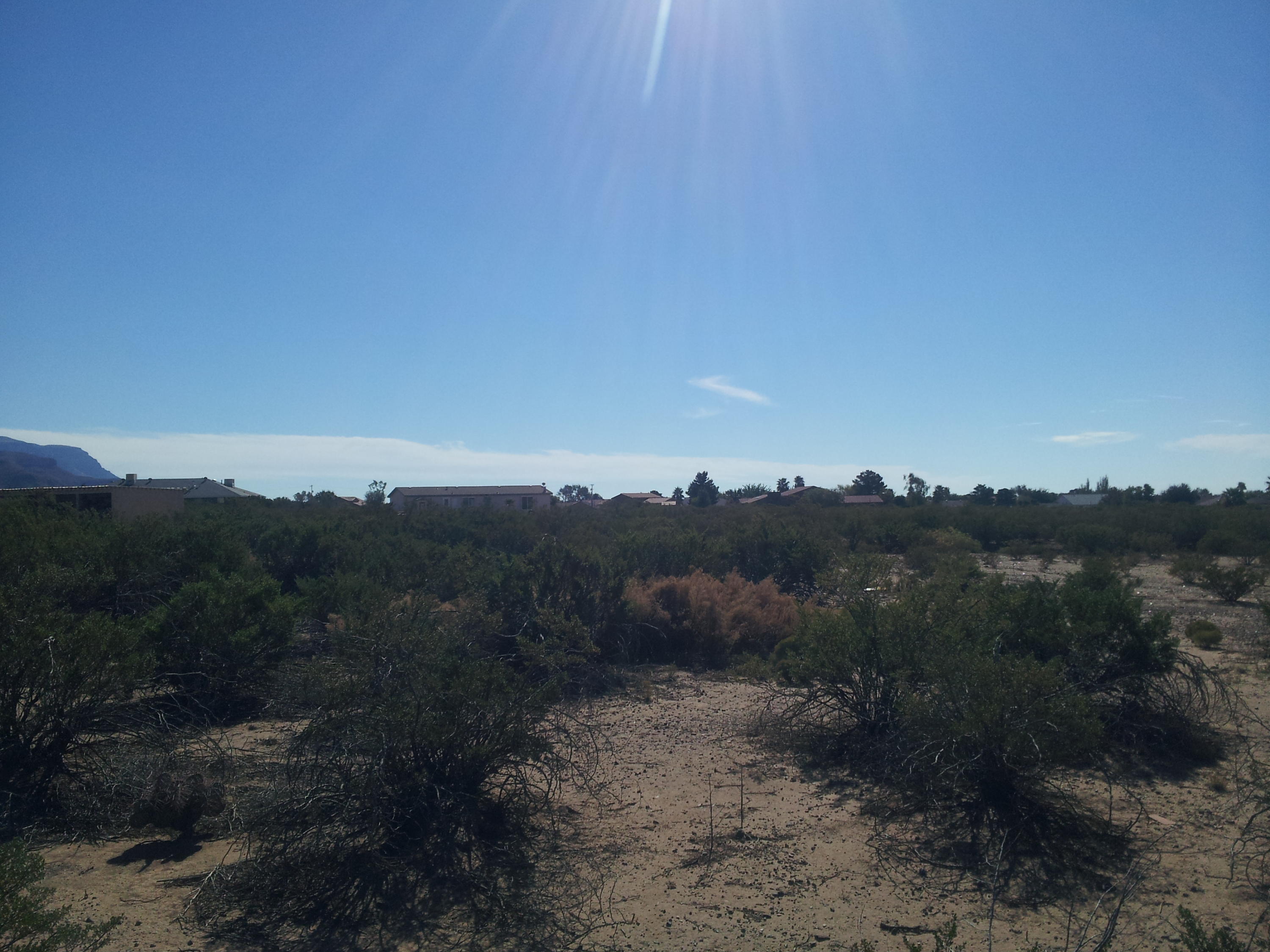 Photo 10 — 0 Divers Cove
