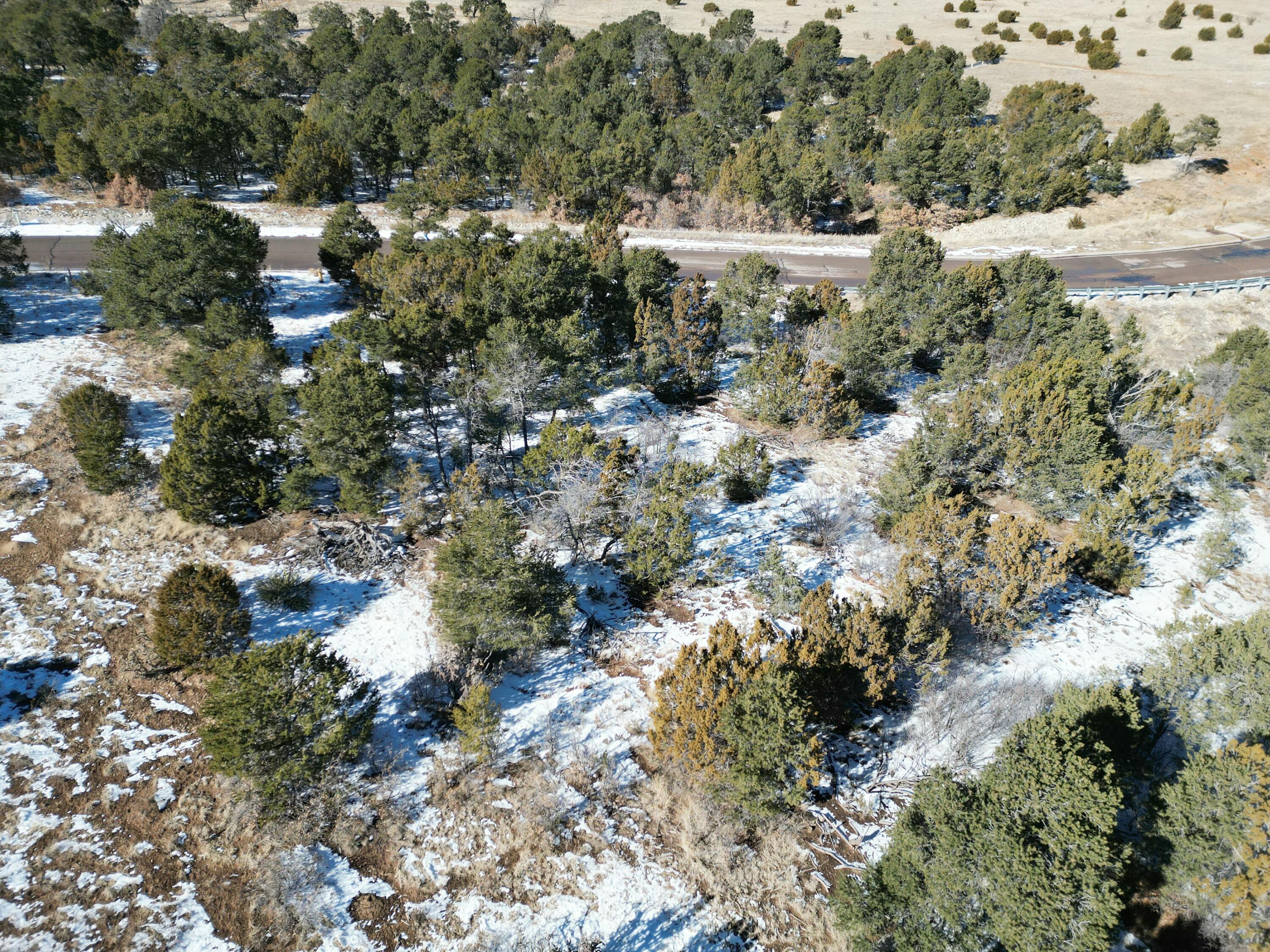 Photo 4 — Lot 2 Bolivar Lp Loop