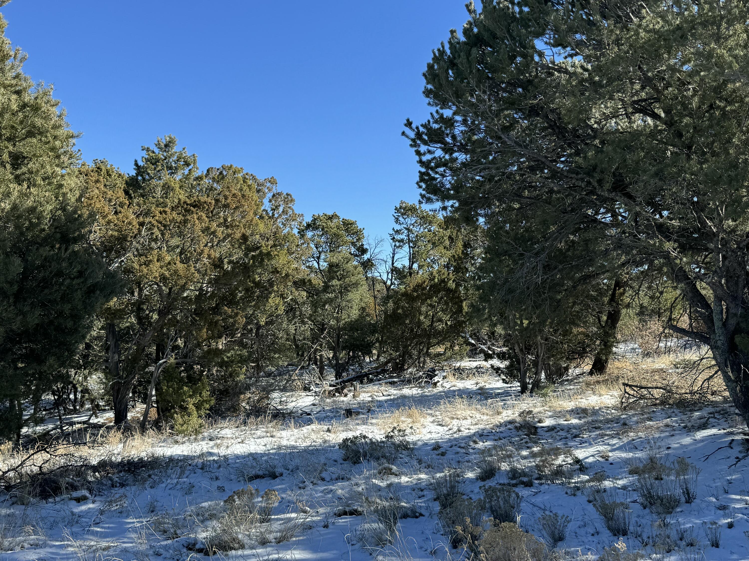 Photo 10 — Lot 2 Bolivar Lp Loop