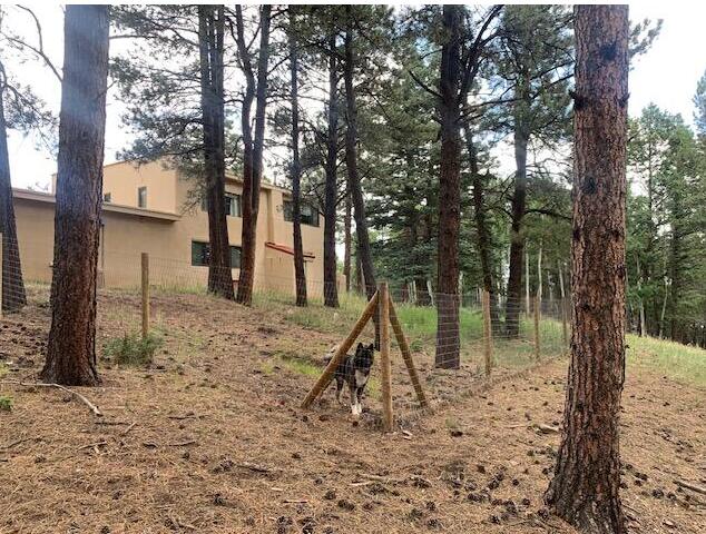 Photo 6 — 18 Meadow Brook Terrace