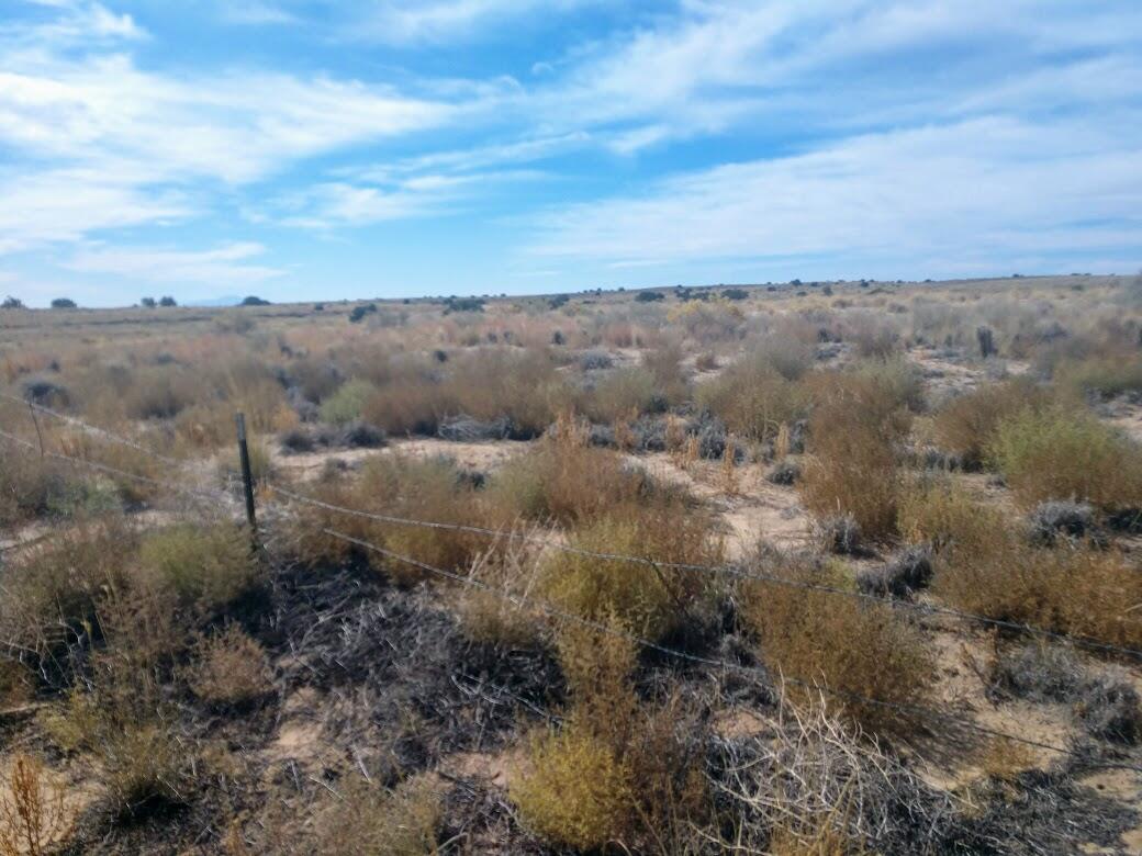 Photo 4 — 18900 Frontage Road SW