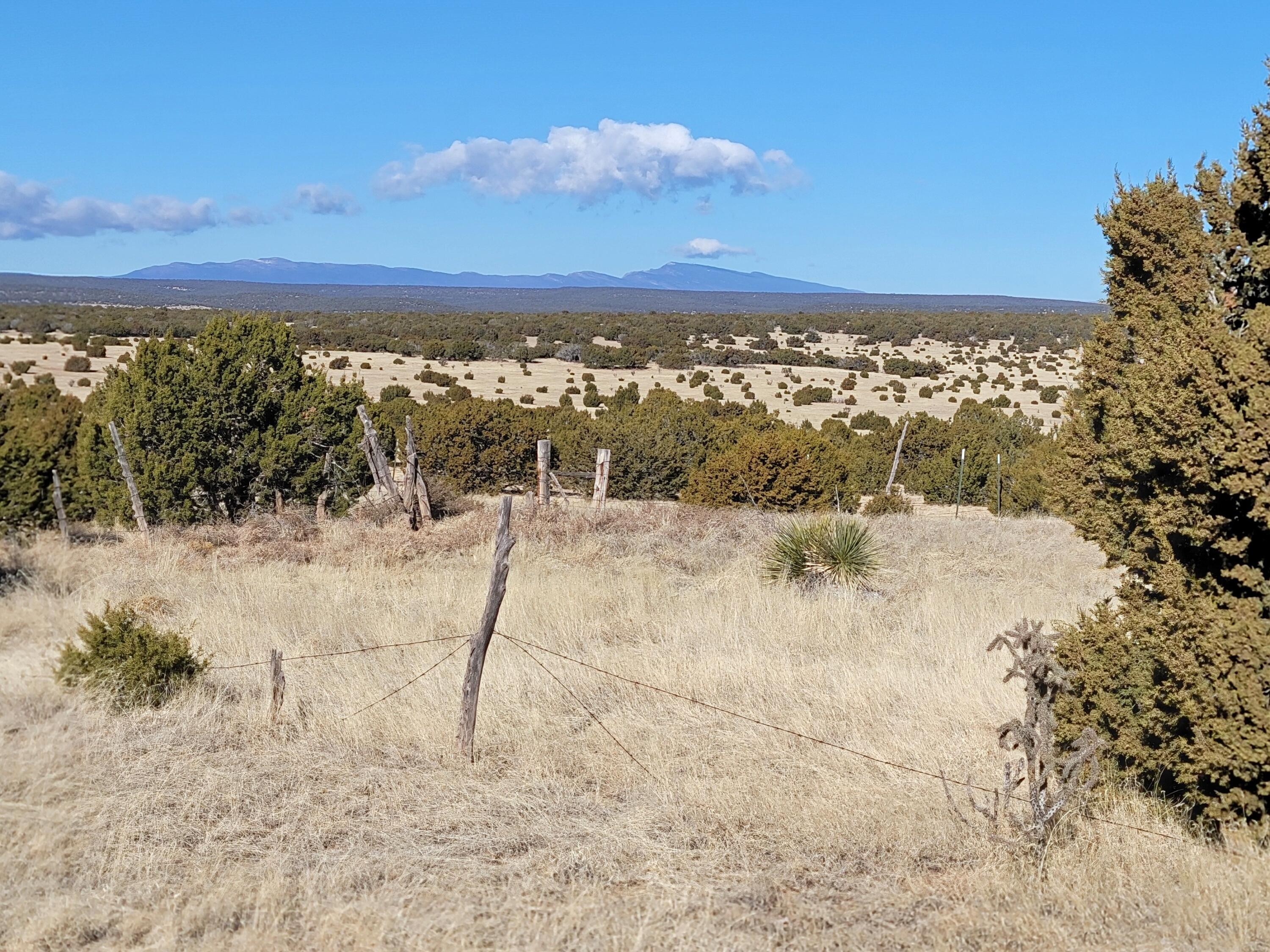 Photo 5 — 43 Bullock Road