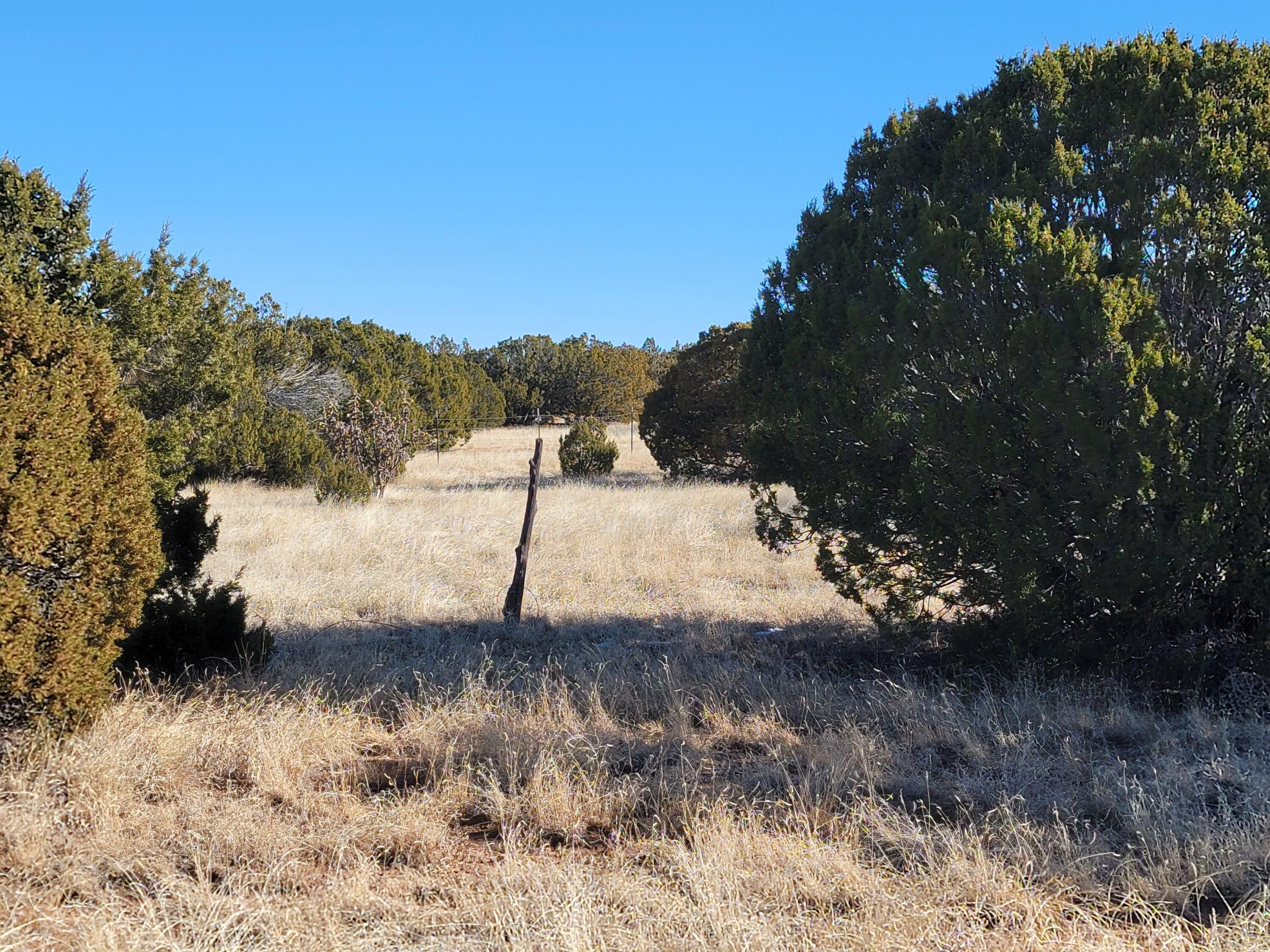 Photo 2 — 43 Bullock Road