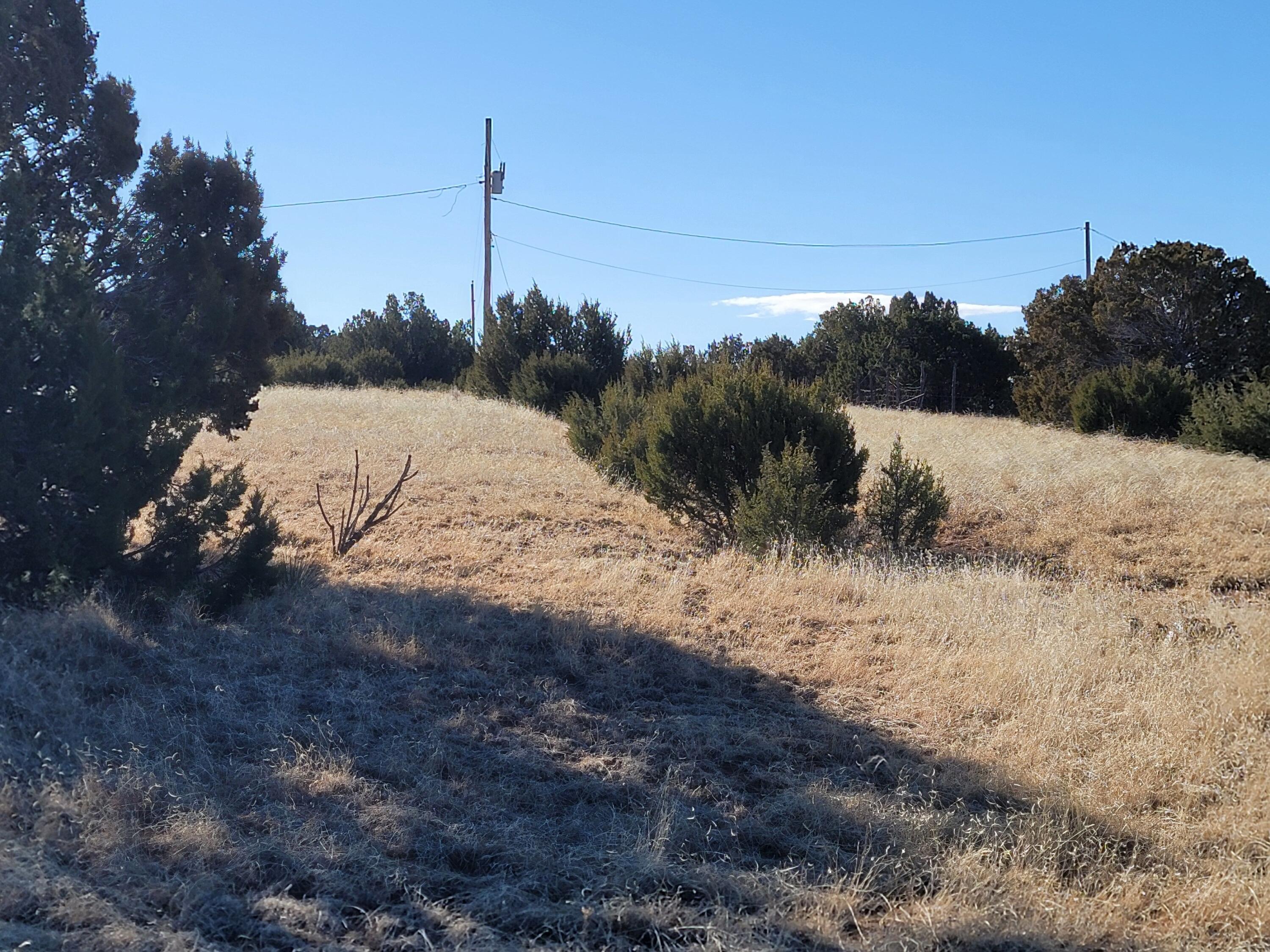 Photo 3 — 43 Bullock Road