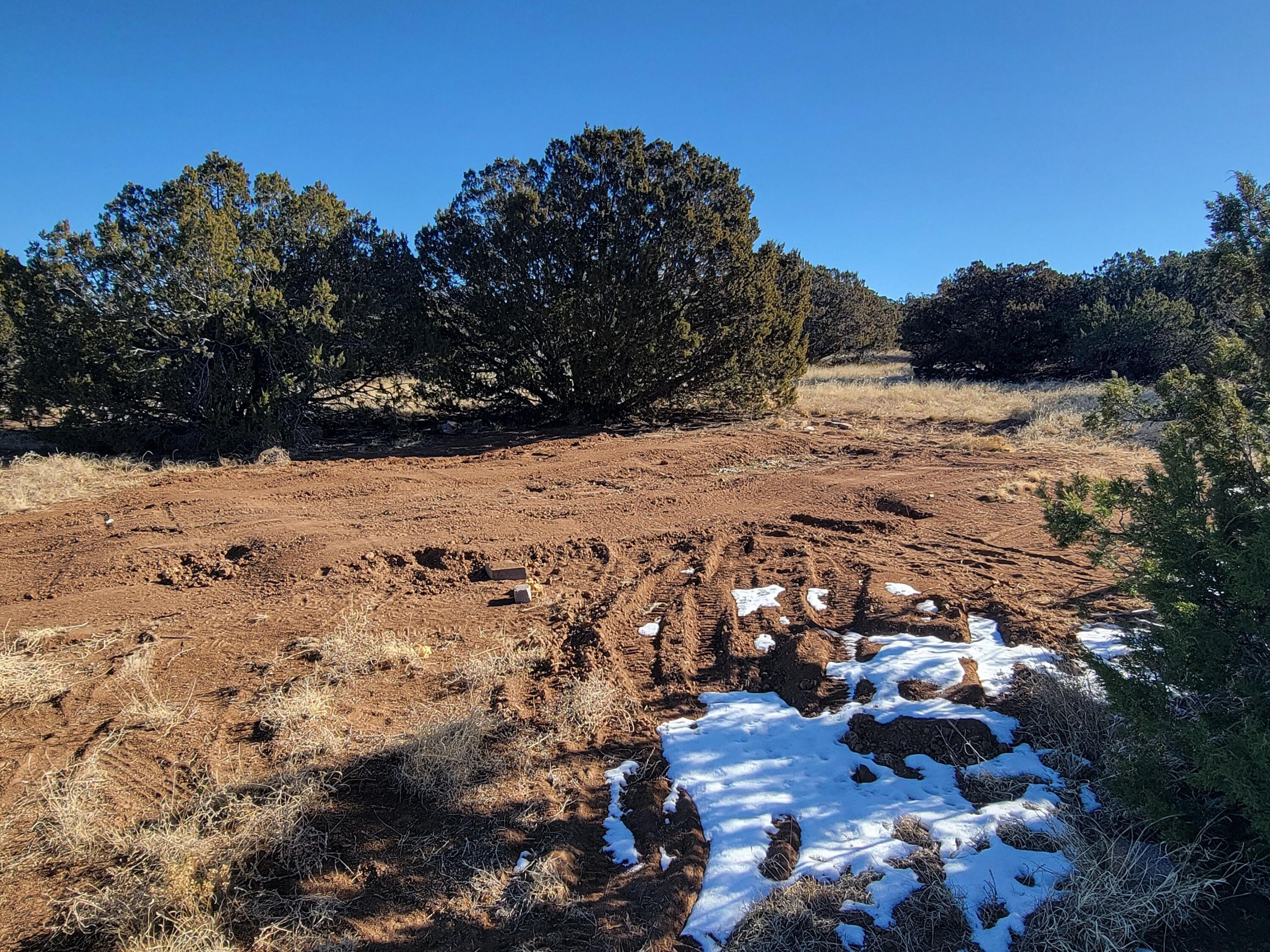 Photo 4 — 43 Bullock Road