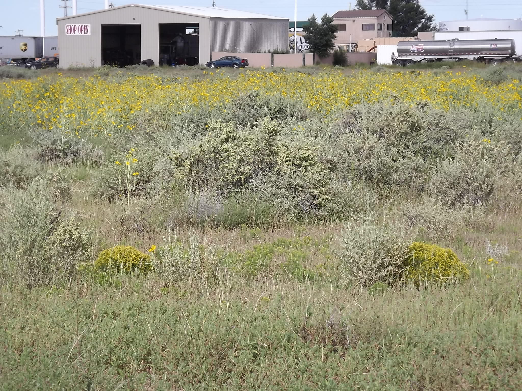 Photo 9 —  U.S. Rt. 66 E (Tr 2-A-2-C)