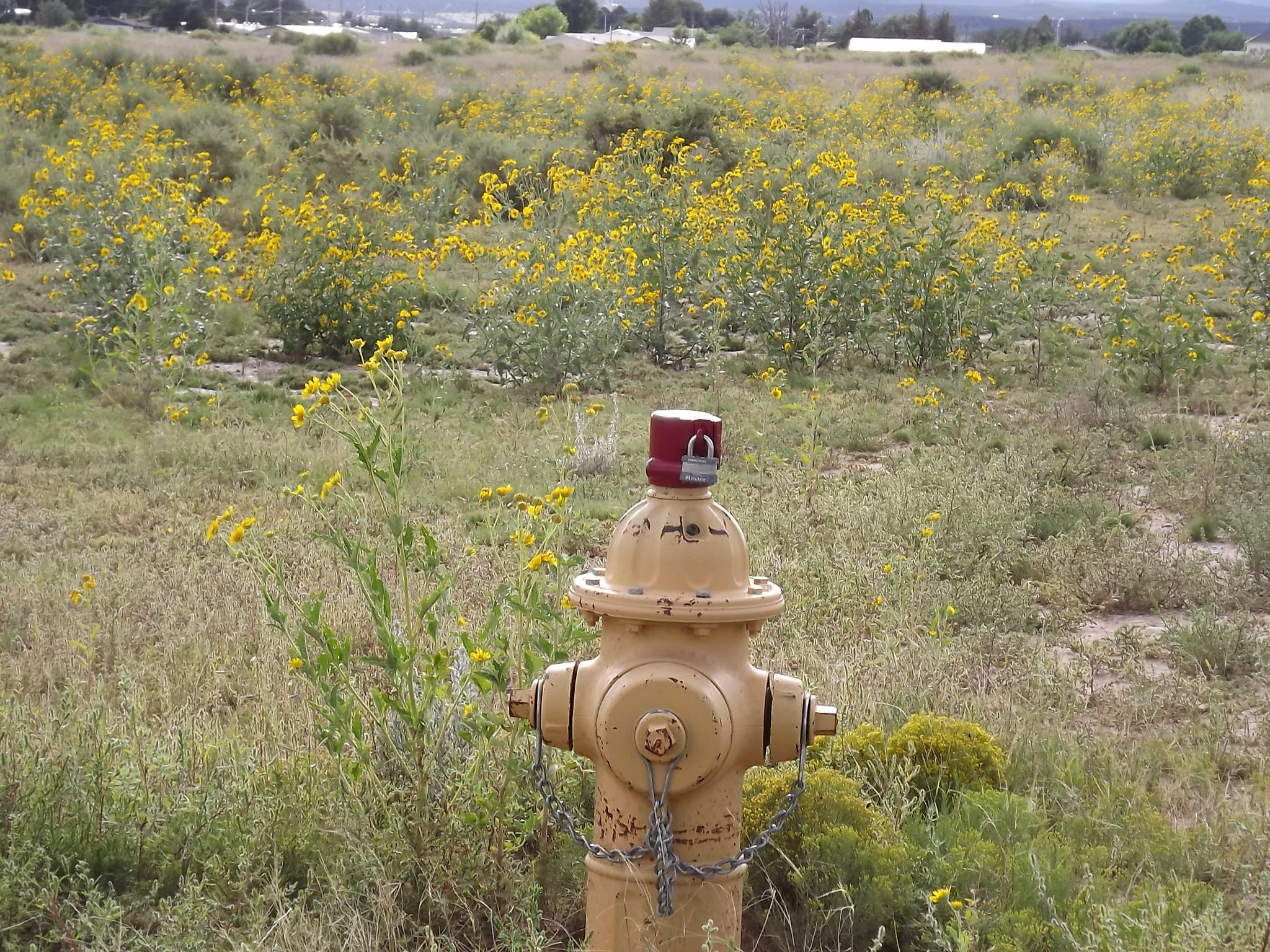 Photo 2 —  U.S. Rt. 66 E (Tr 2-A-2-C)
