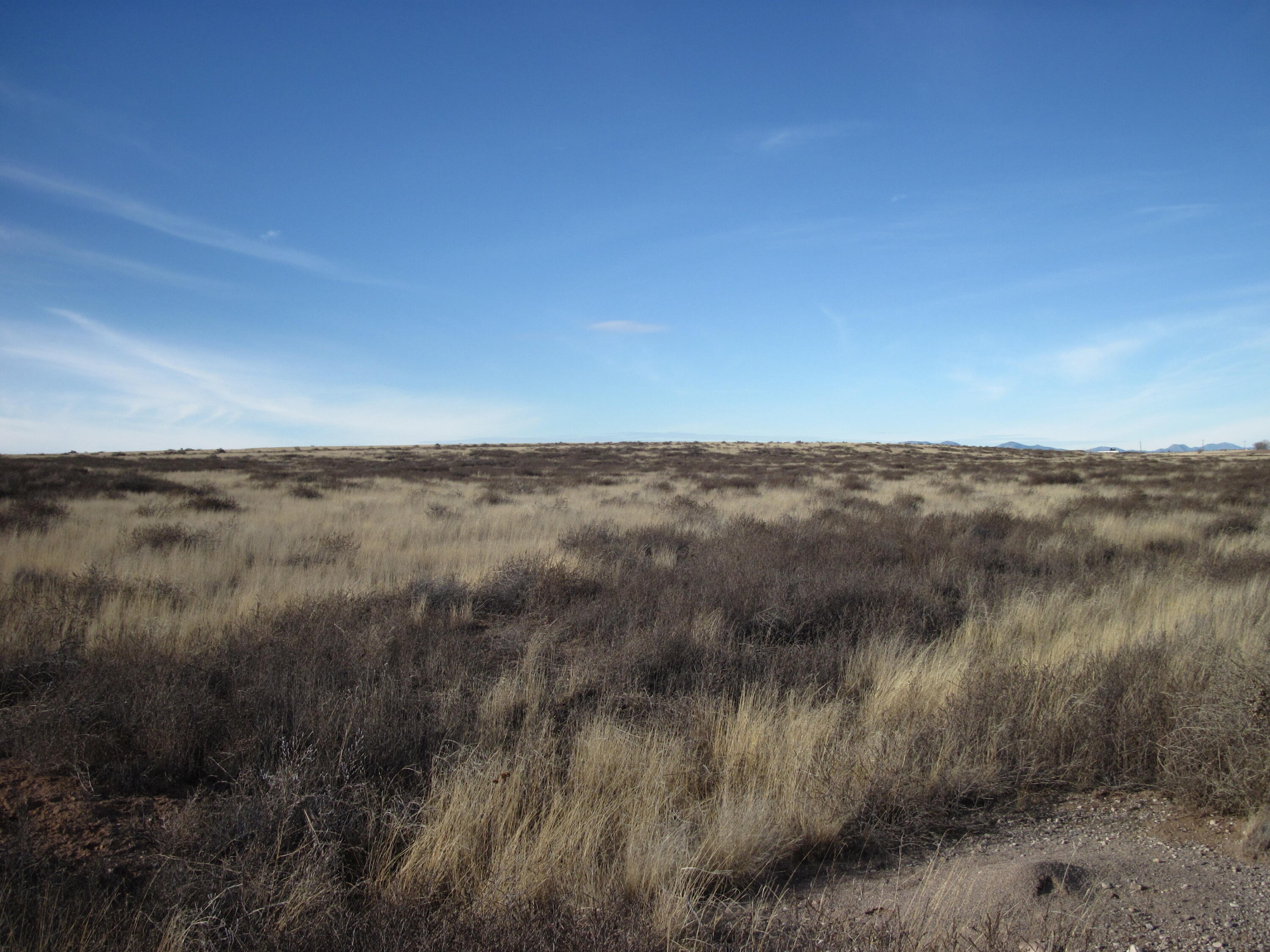 Photo 8 — 20 Mesa Road