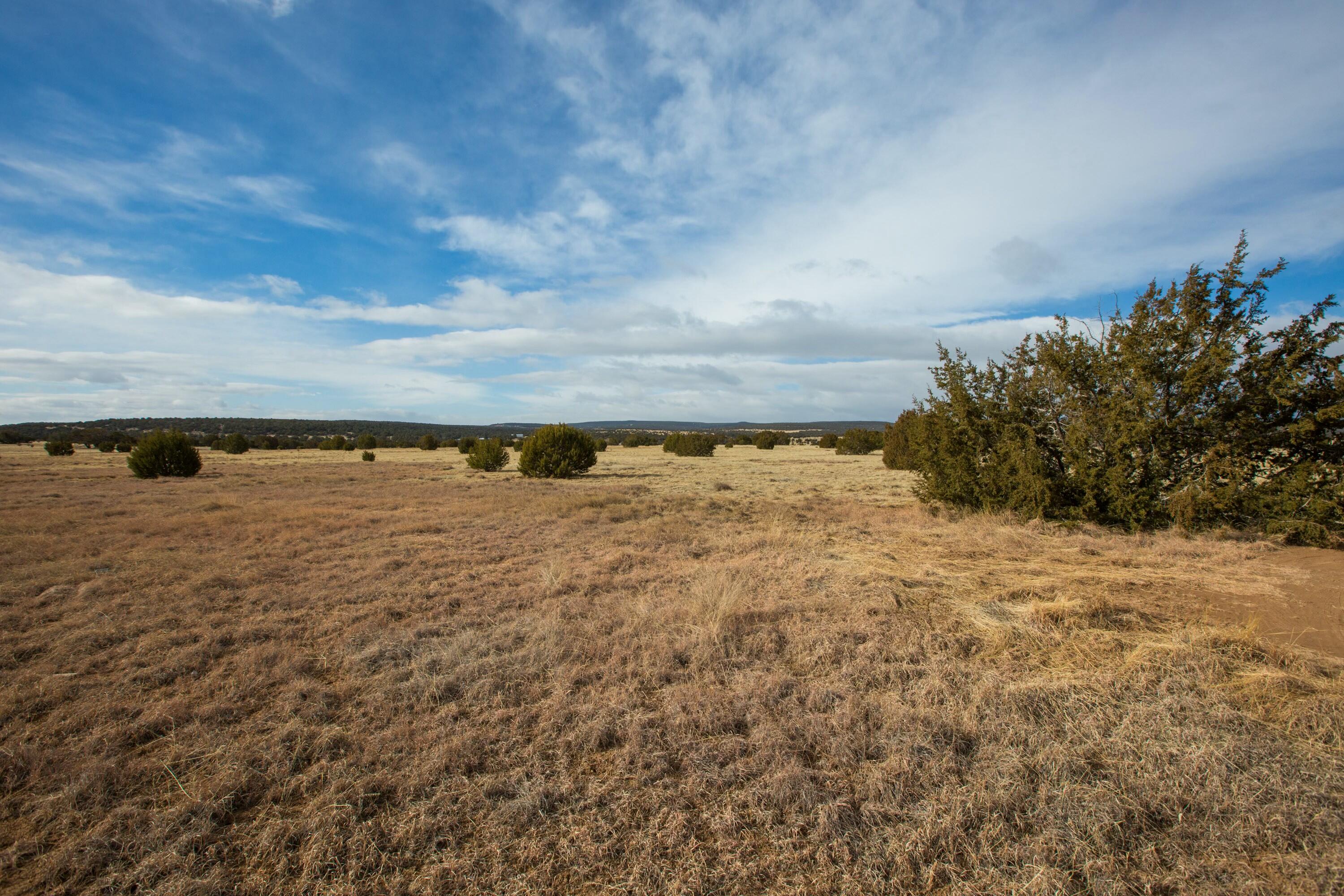  Bushnell