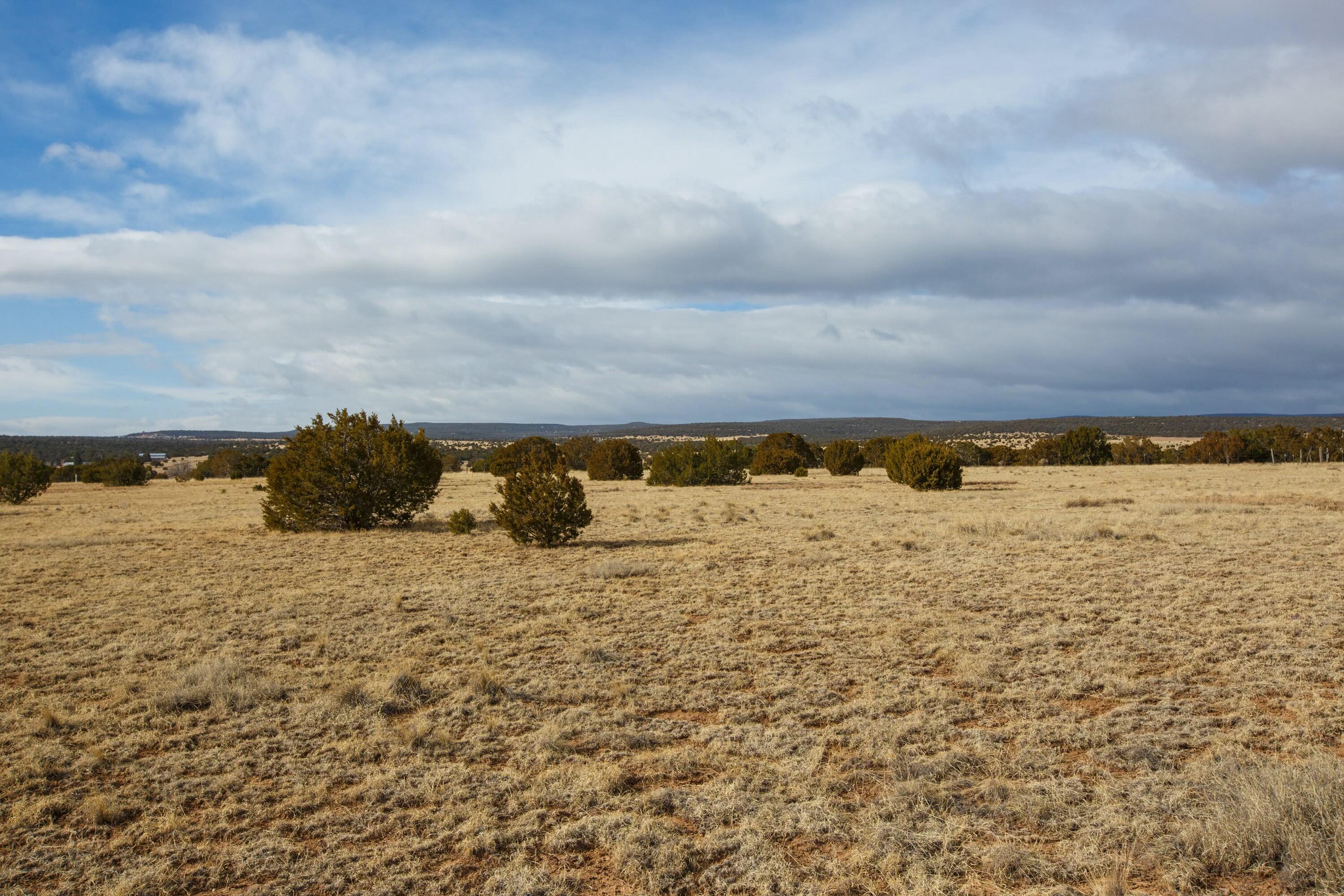 Photo 16 —  Bushnell