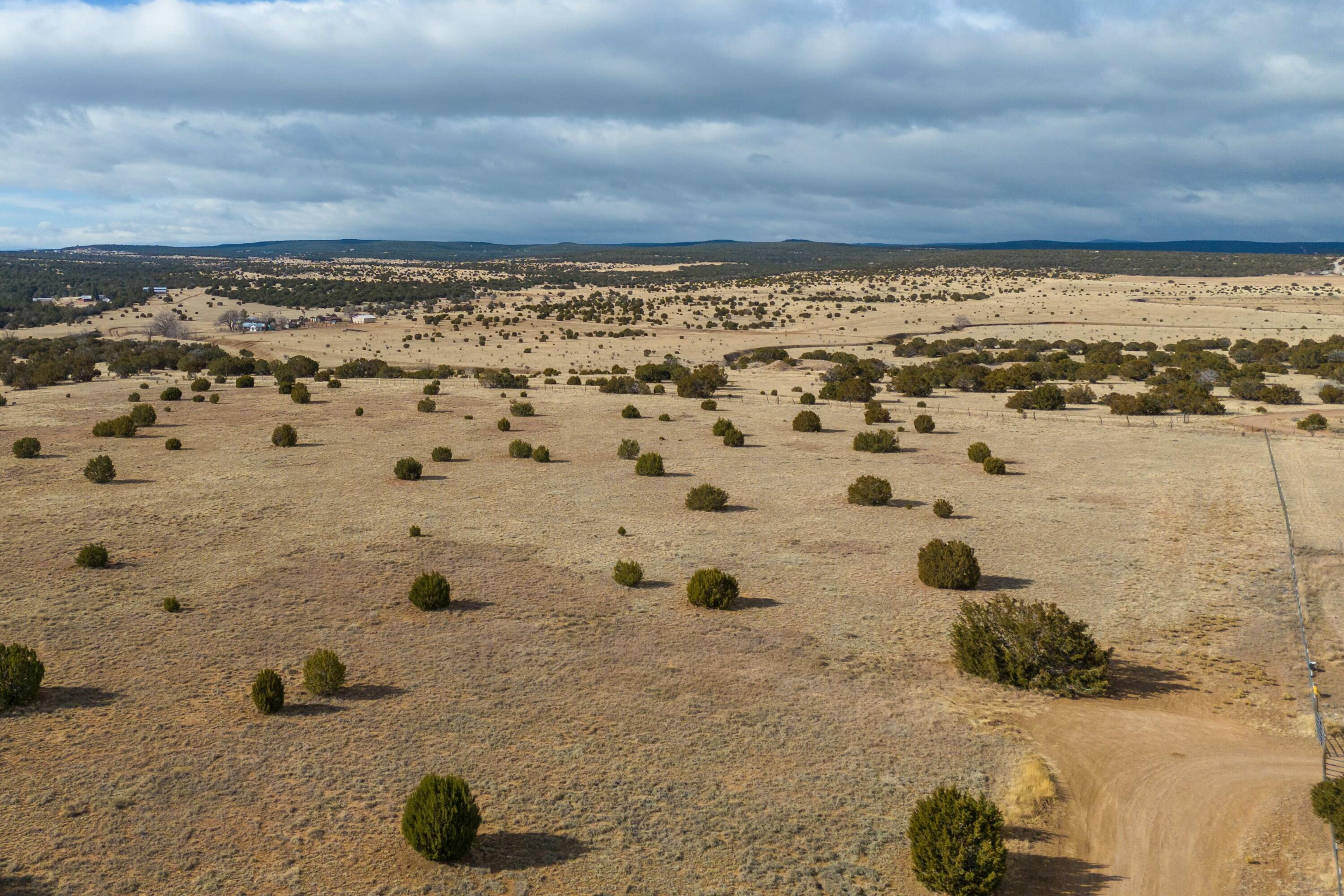 Photo 3 —  Bushnell